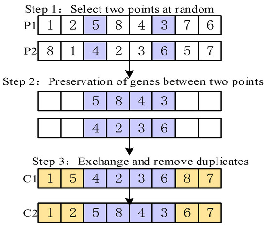 のん38 Long-Term Monitoring Reveals Changes in the Small Mammal Community