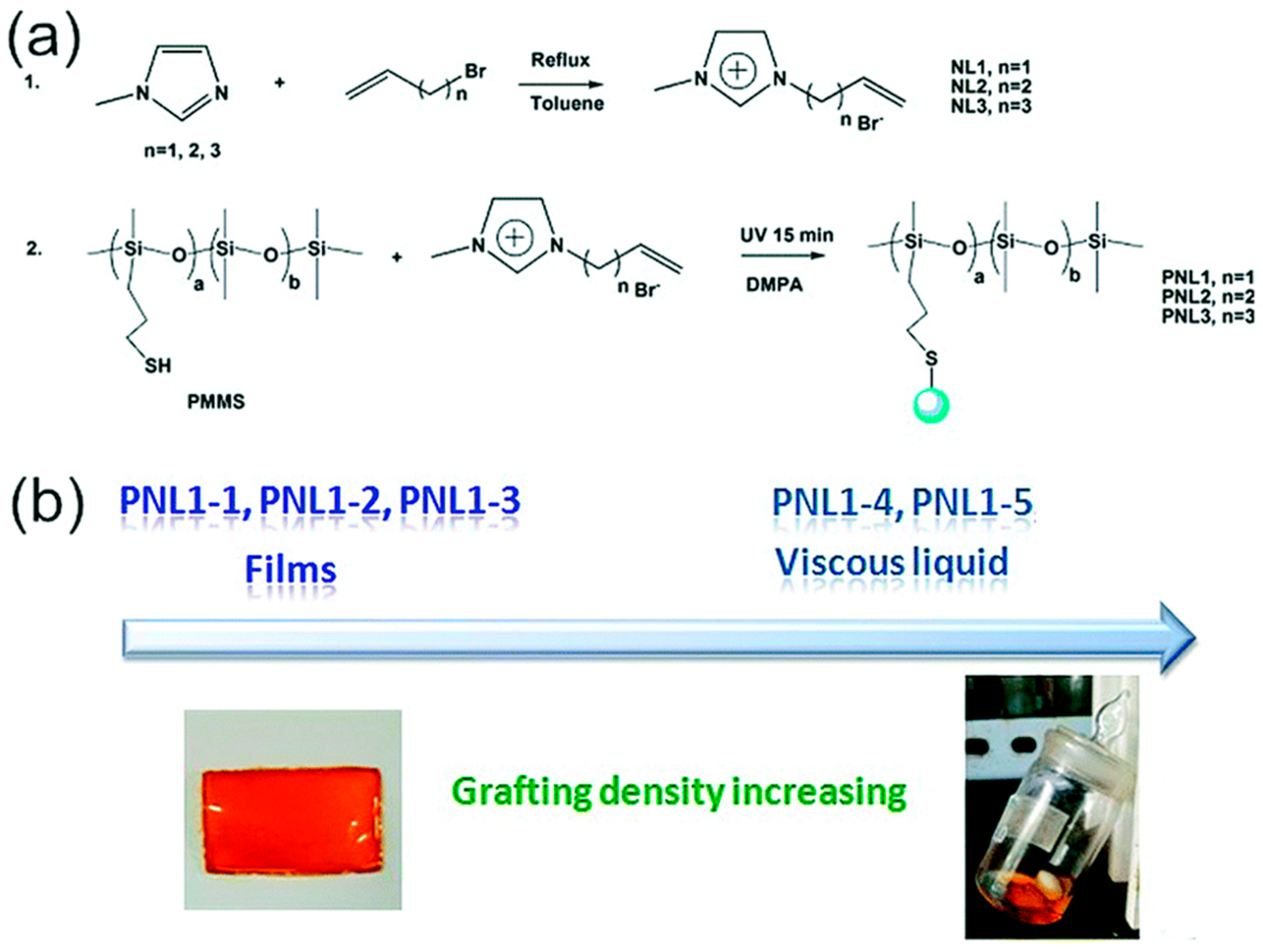 Macromol 01 00002 g002 Macromol 01 00002 g002
