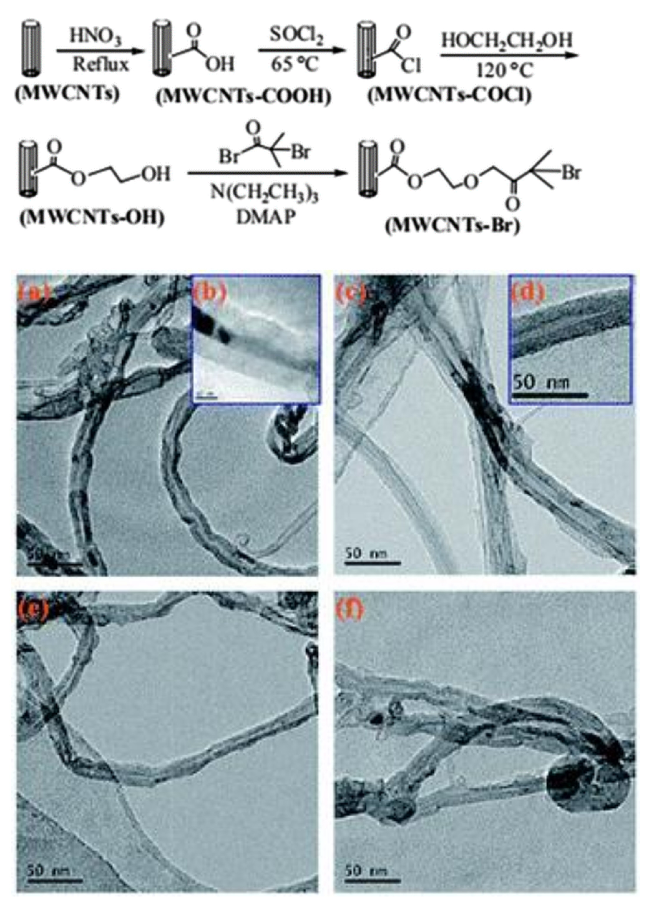 Macromol 01 00006 g004