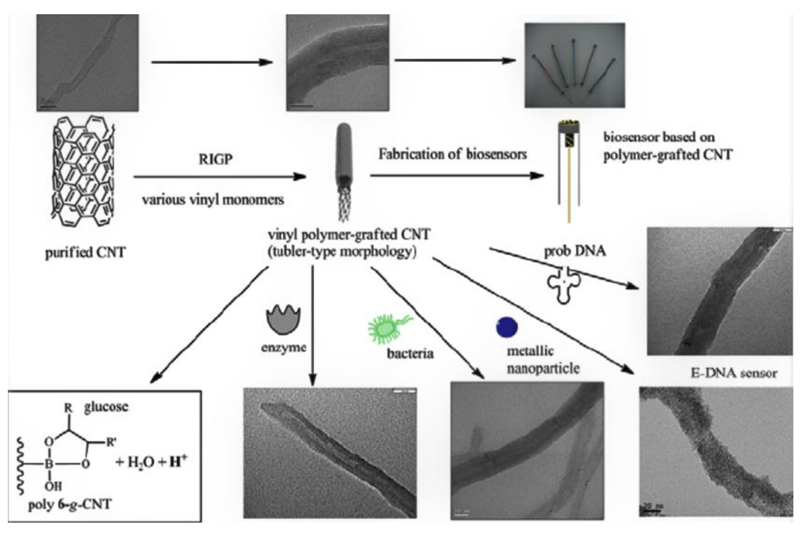Macromol 01 00006 g007