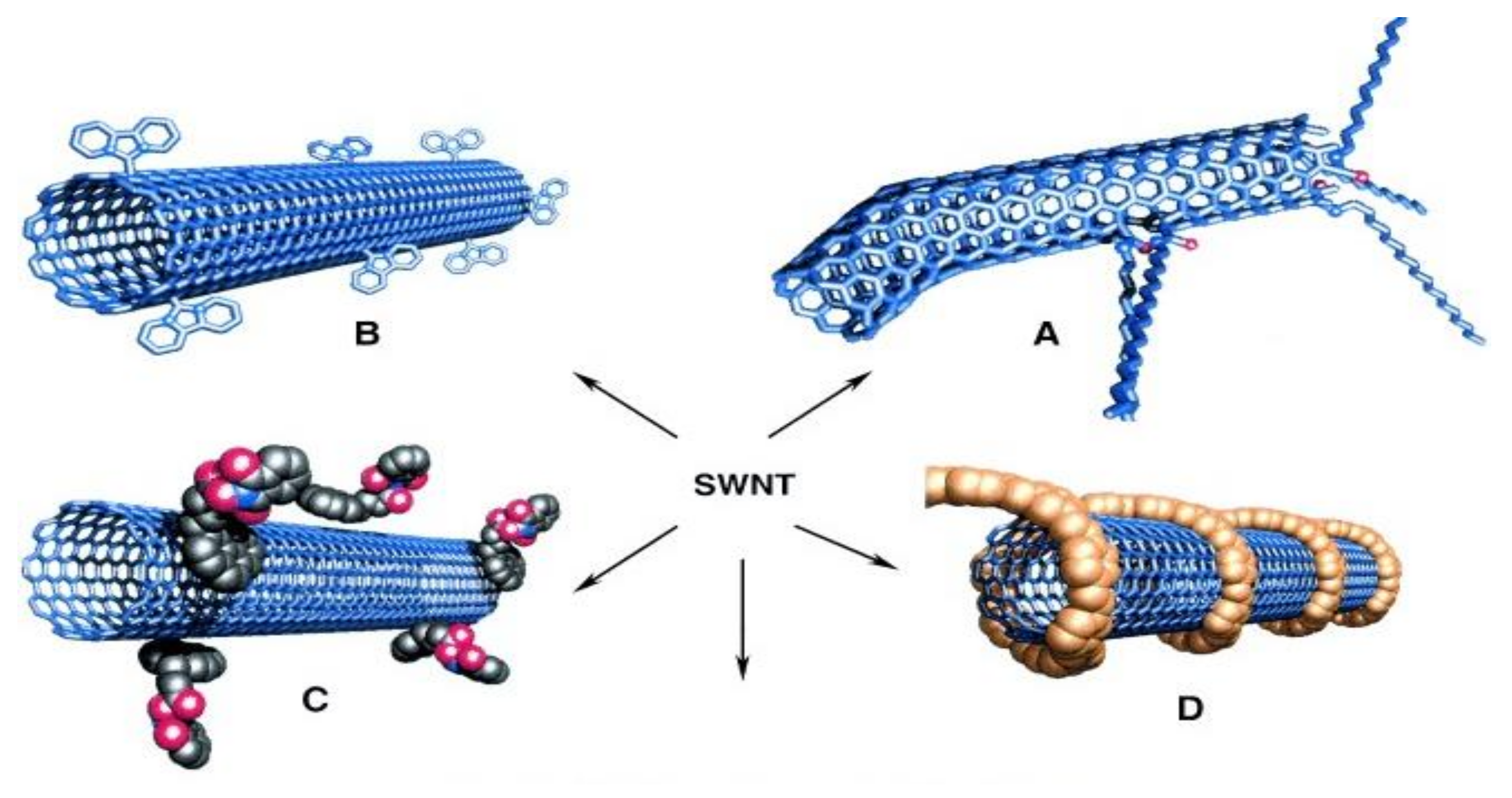 Macromol 01 00006 sch001