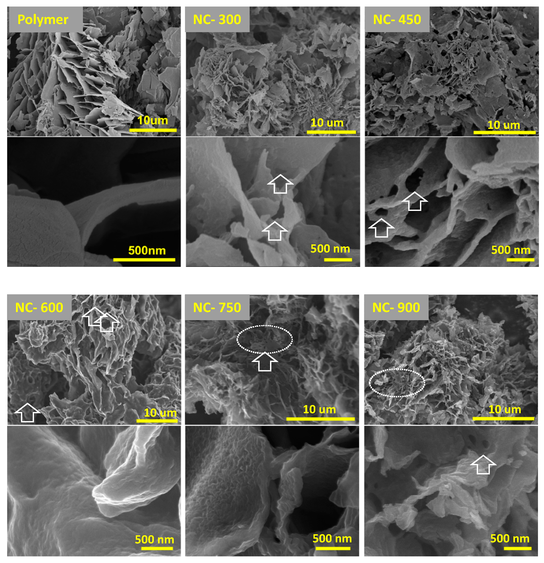 Macromol 01 00007 g004 Macromol 01 00007 g004