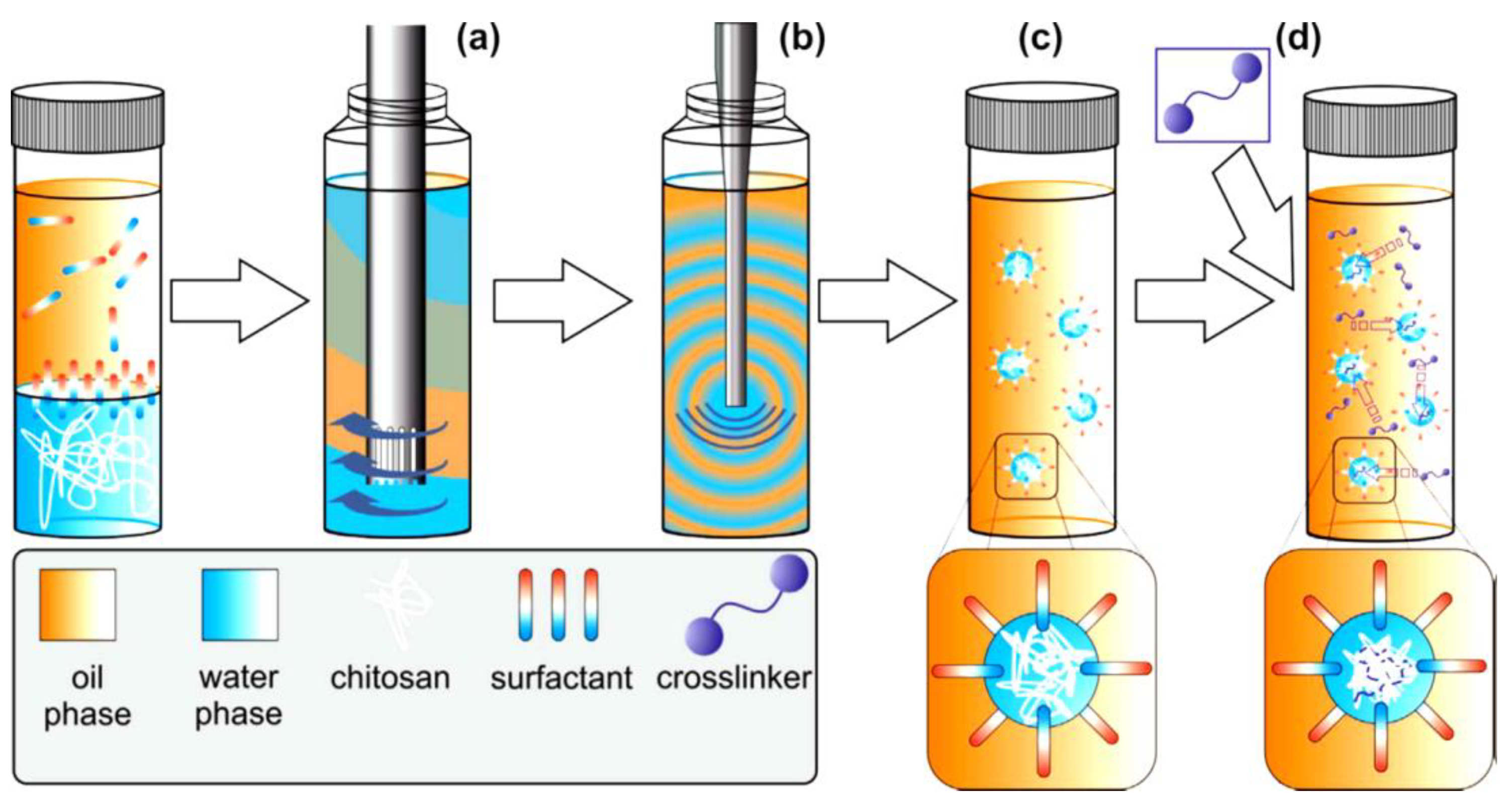 Macromol 01 00011 g002 Macromol 01 00011 g002
