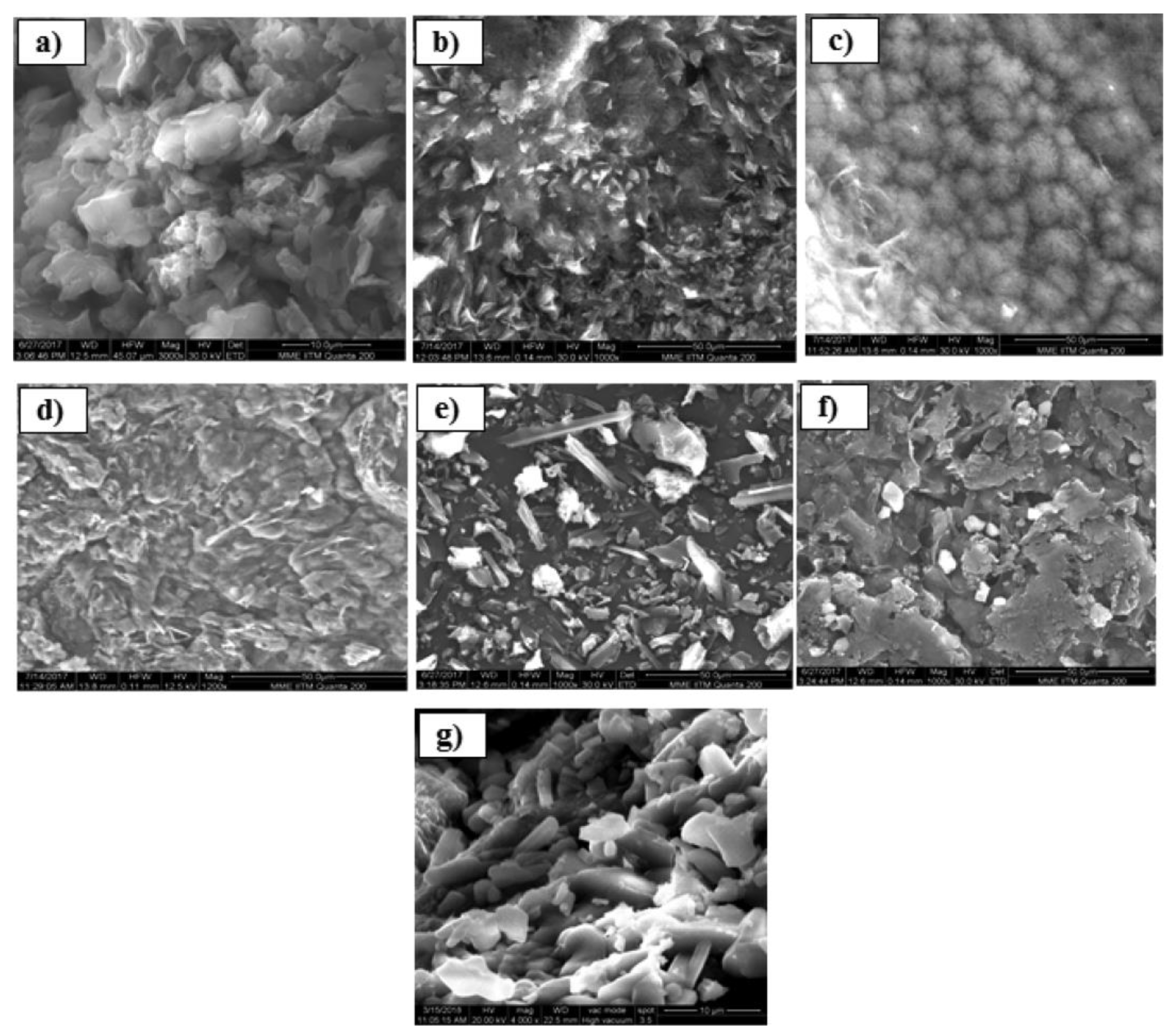 Macromol 01 00011 g005 Macromol 01 00011 g005
