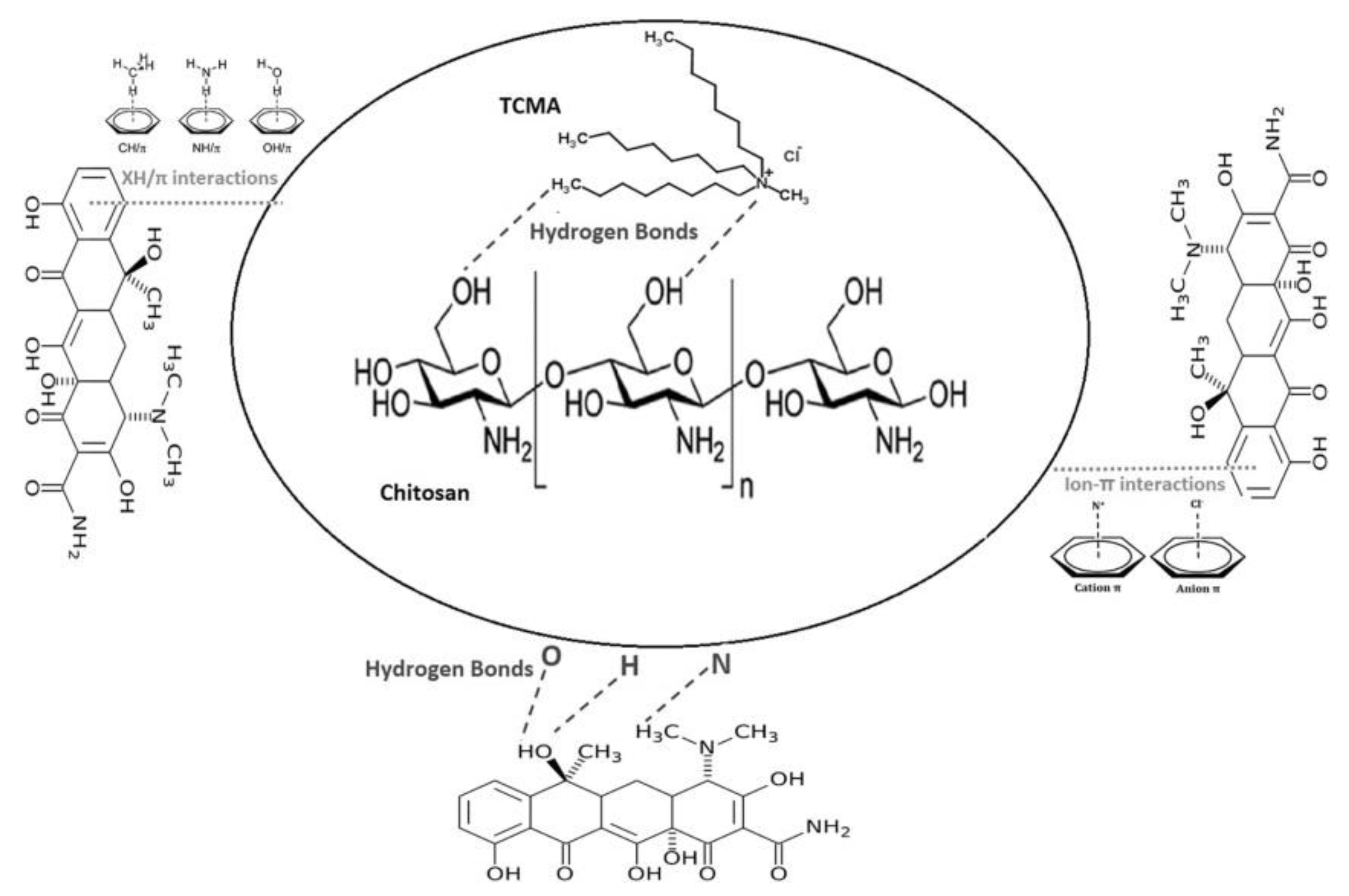 Macromol 01 00011 g012 Macromol 01 00011 g012