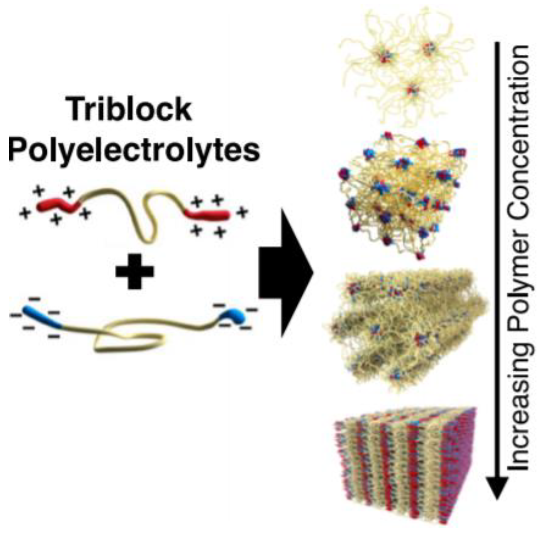 Macromol 01 00012 g002 Macromol 01 00012 g002
