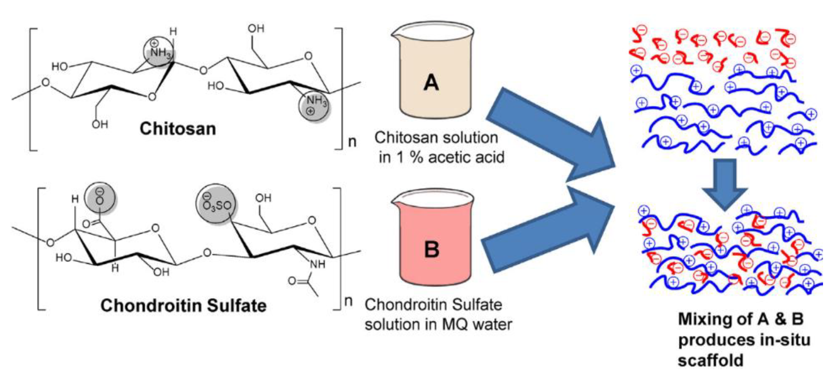 Macromol 01 00012 g003 Macromol 01 00012 g003