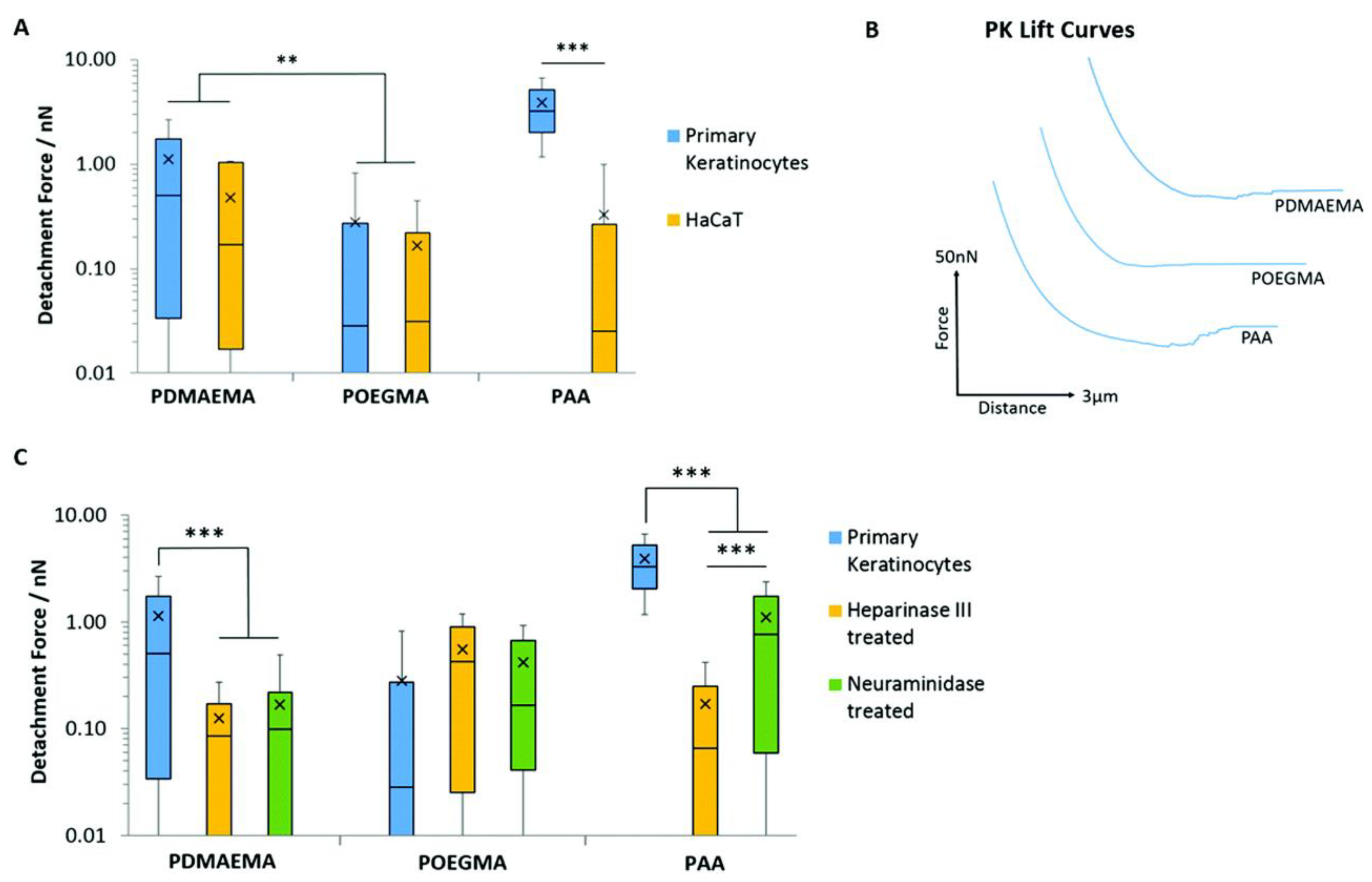 Macromol 01 00012 g007 Macromol 01 00012 g007