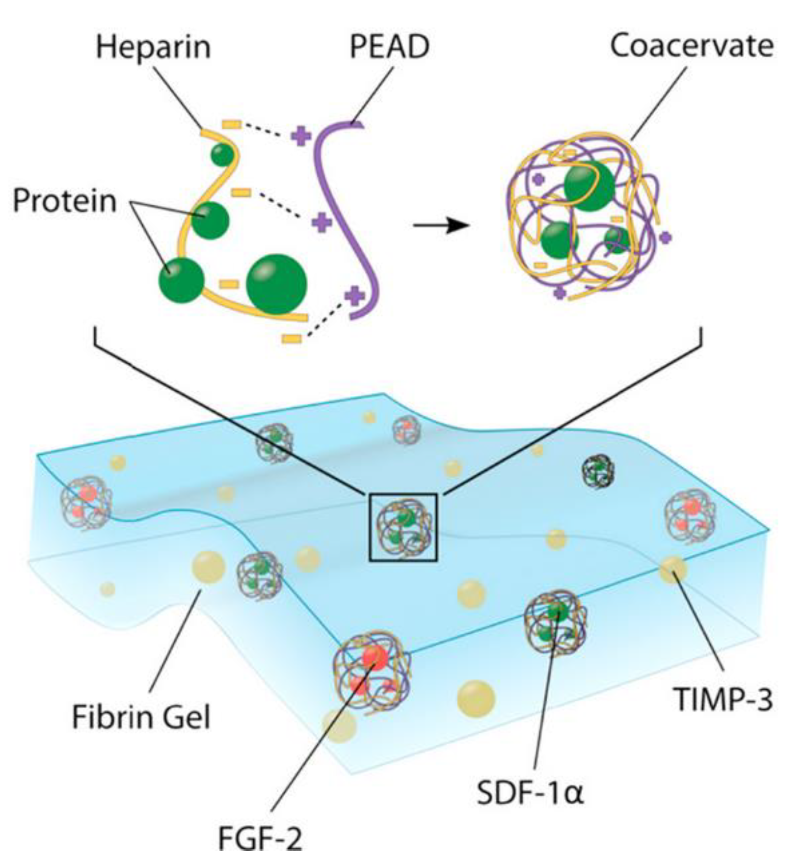 Macromol 01 00012 g009 Macromol 01 00012 g009