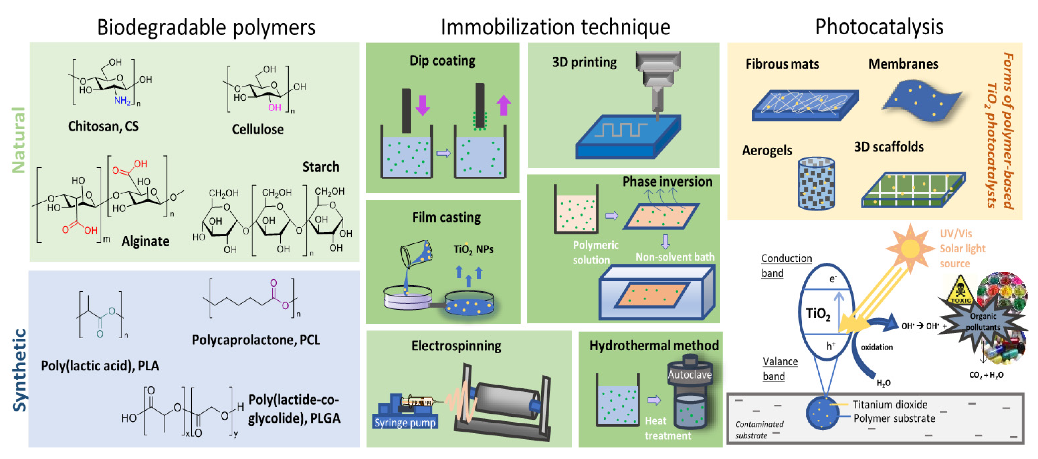 Macromol 01 00015 g001