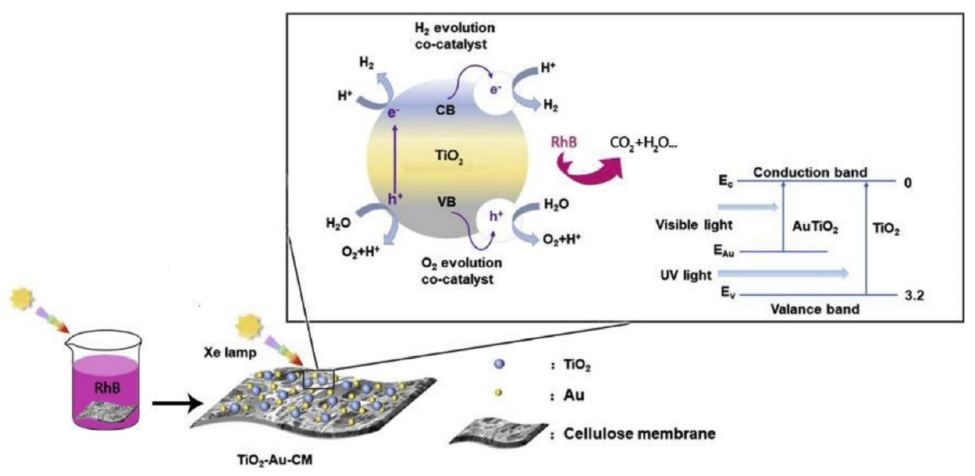 Macromol 01 00015 g003