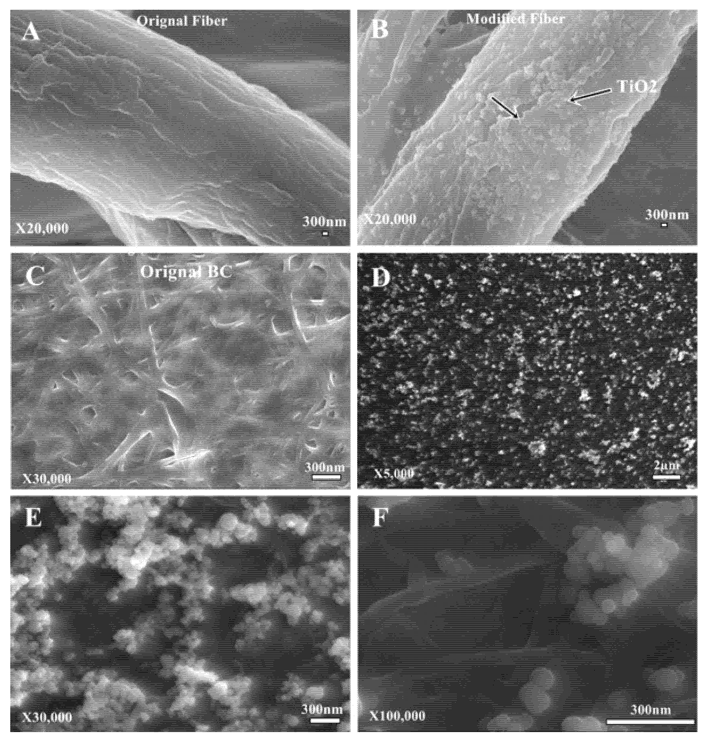 Macromol 01 00015 g004