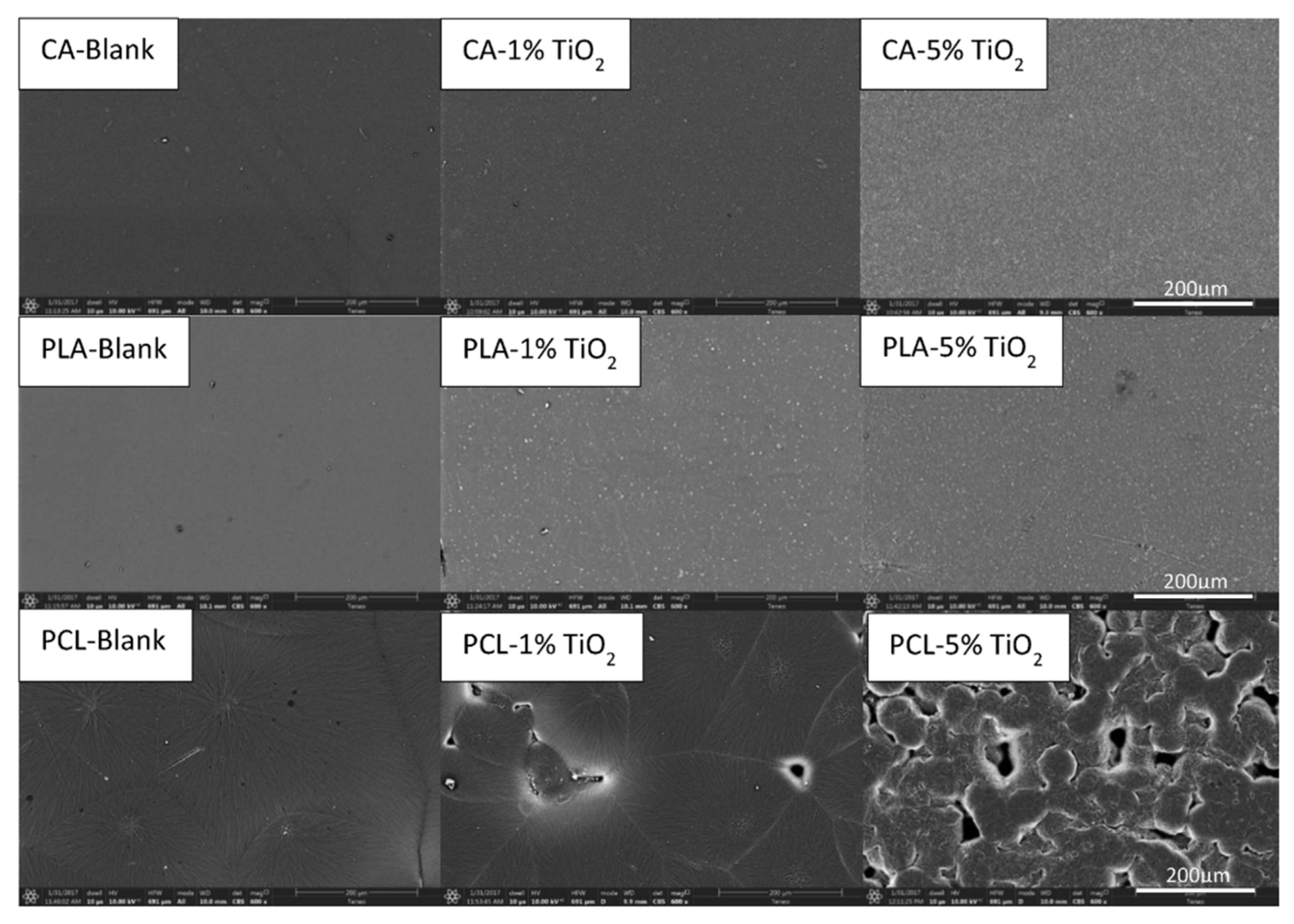 Macromol 01 00015 g009