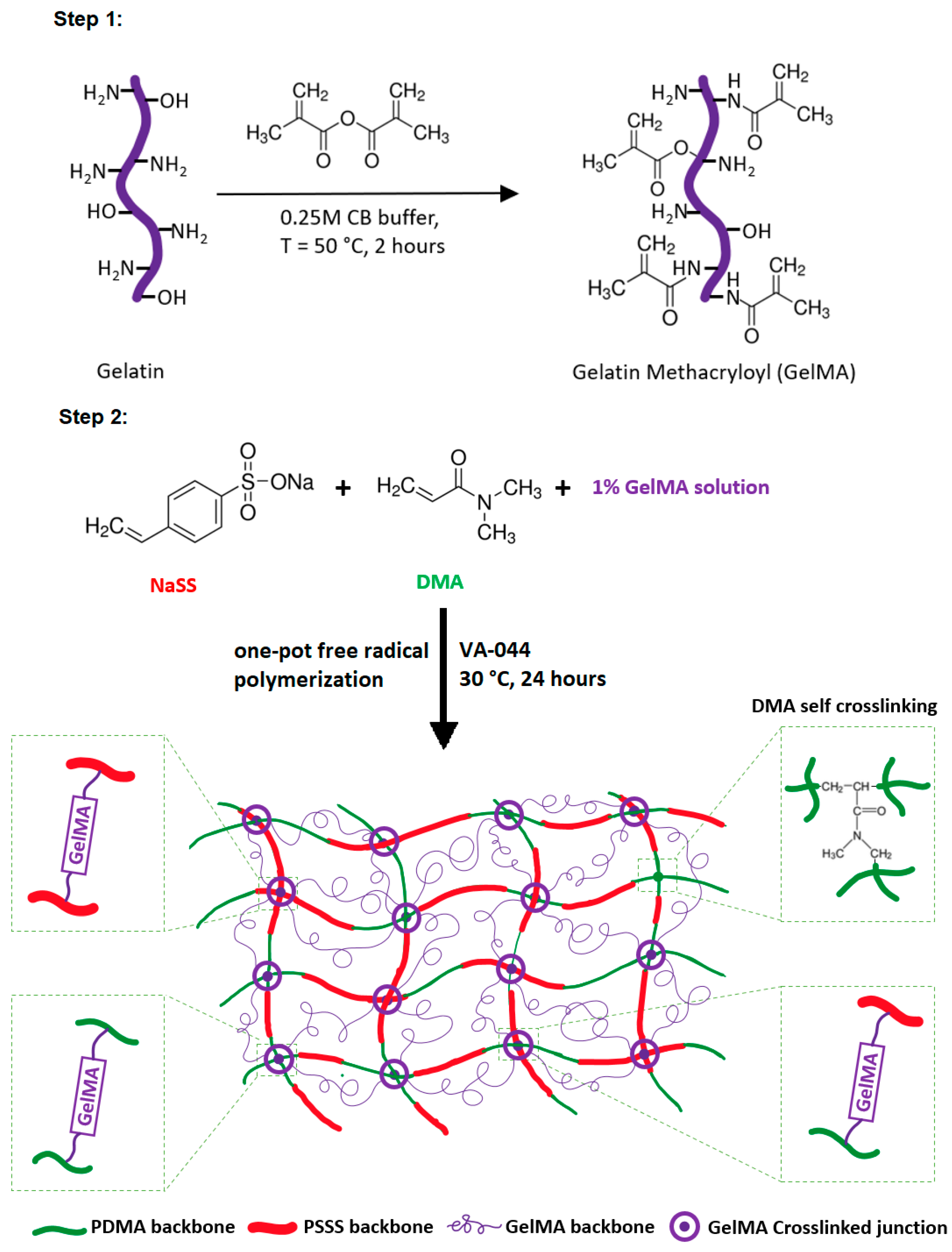 Macromol 01 00018 sch001