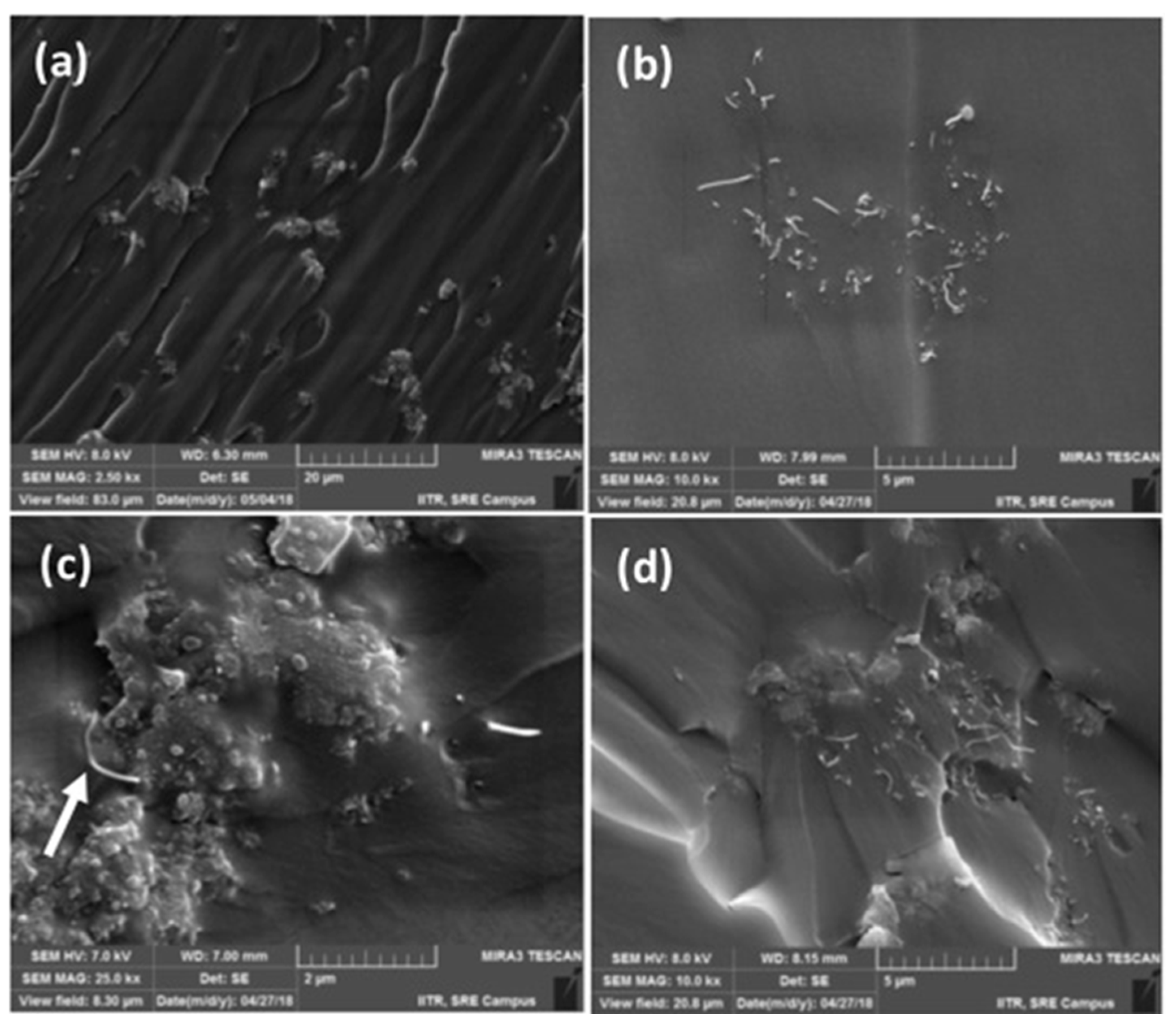 Macromol 01 00019 g001
