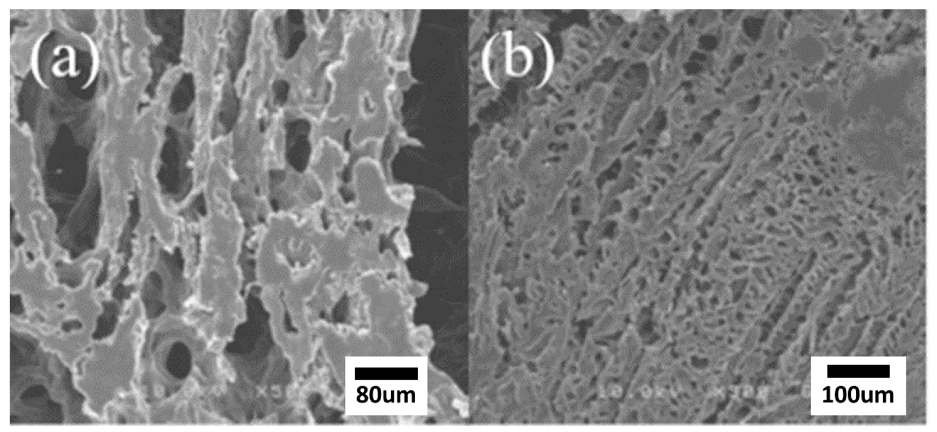 Macromol 02 00001 g004