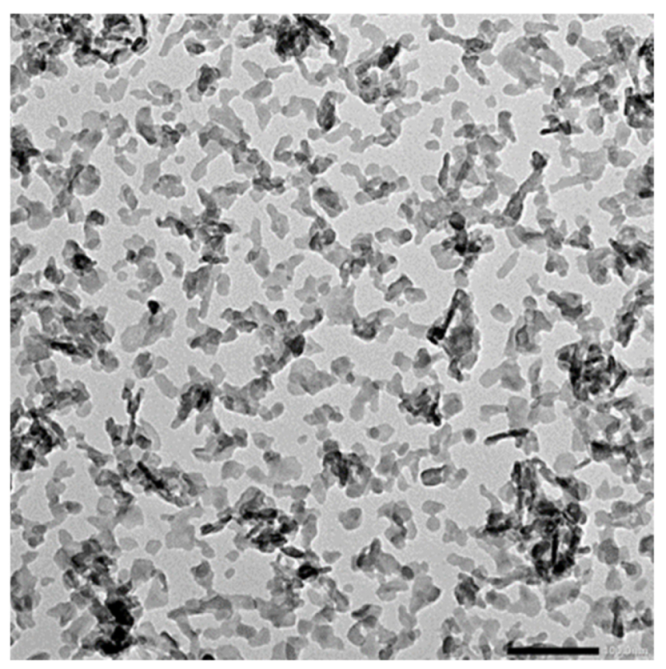 Macromol 02 00002 g002