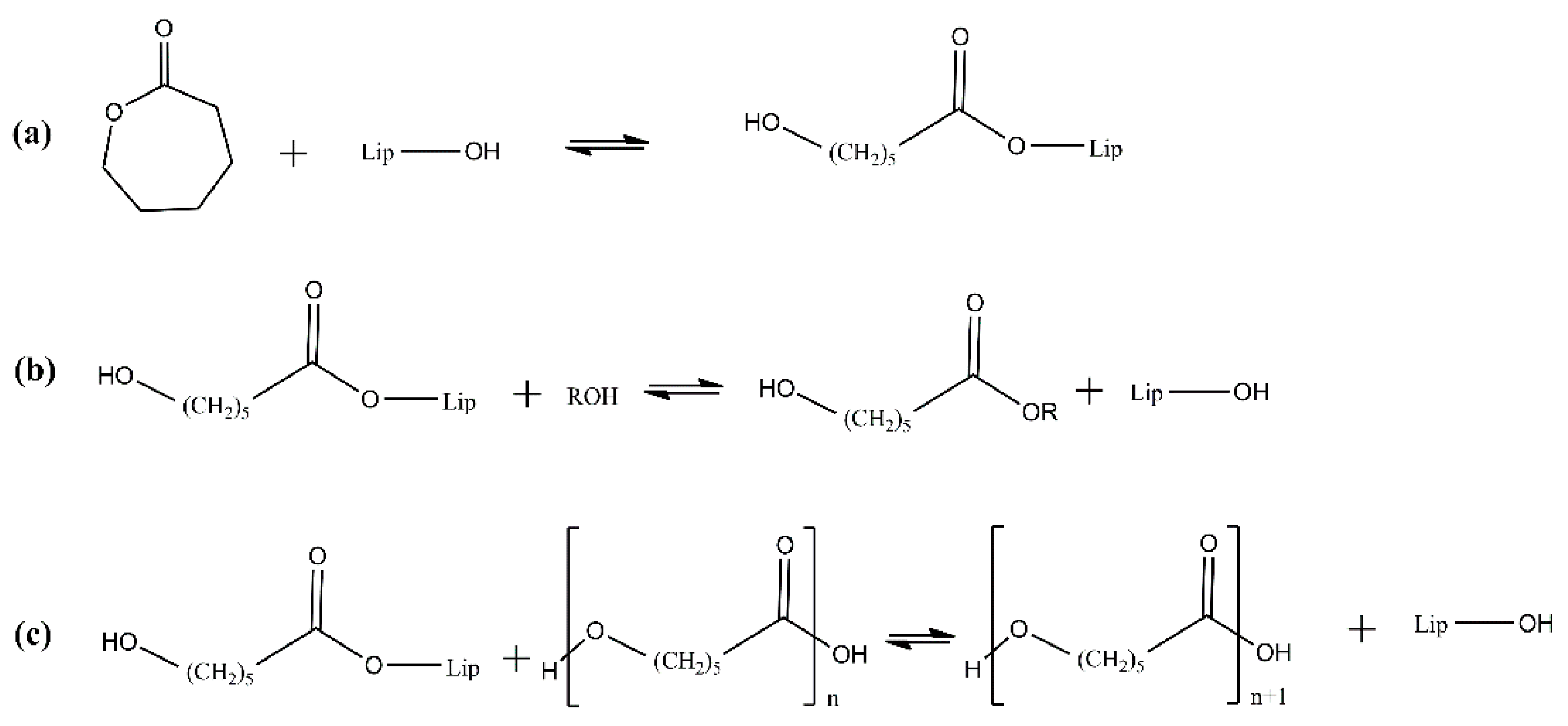 Macromol 02 00003 g003