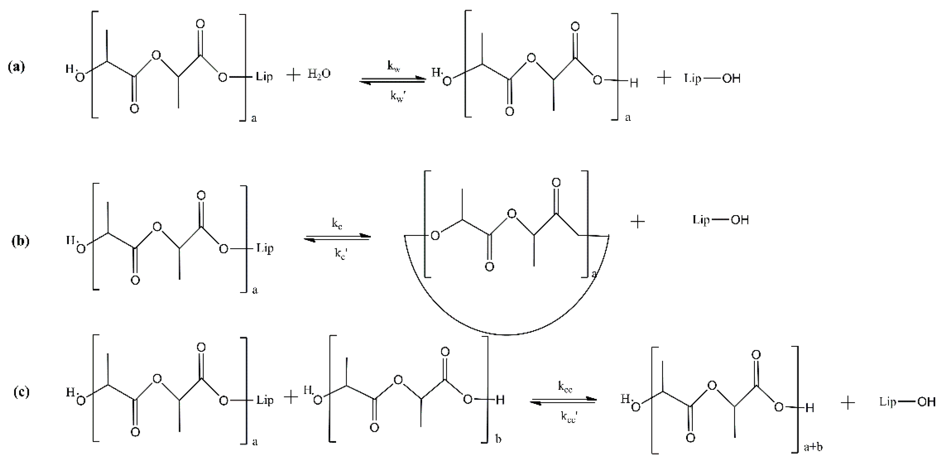 Macromol 02 00003 g004