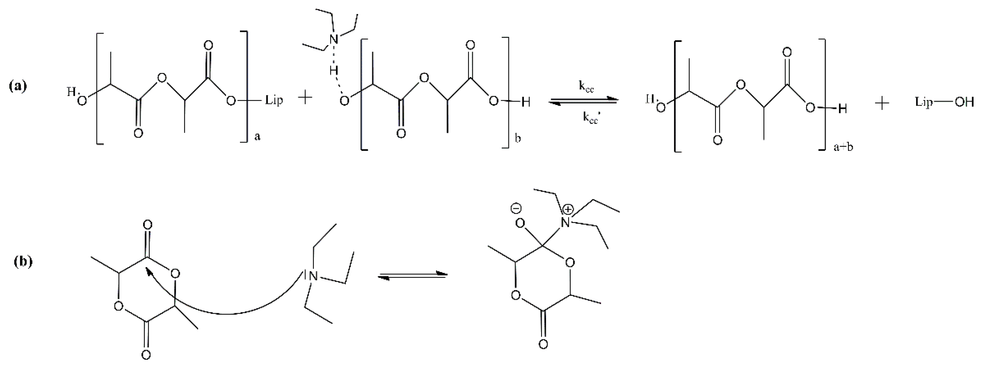 Macromol 02 00003 g005