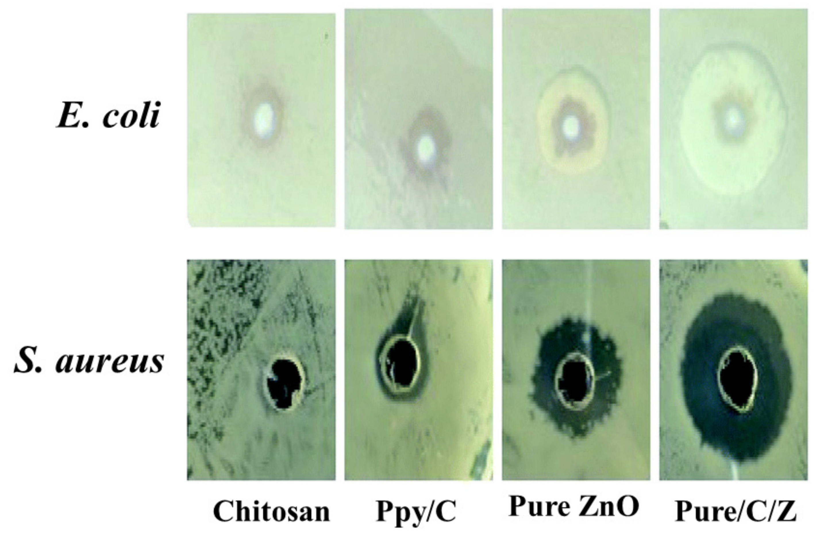 Macromol 02 00005 g002