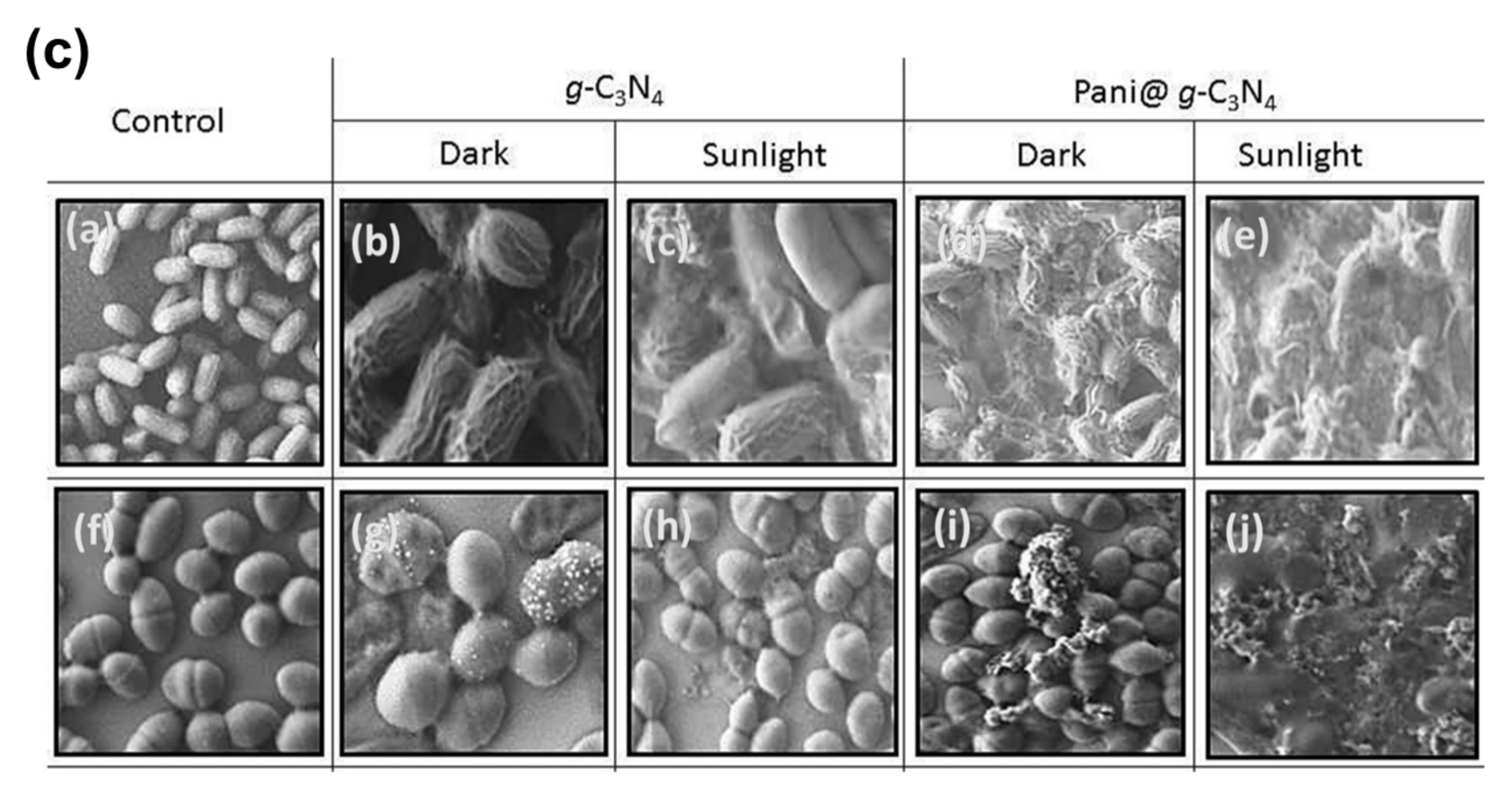 Macromol 02 00005 g004b