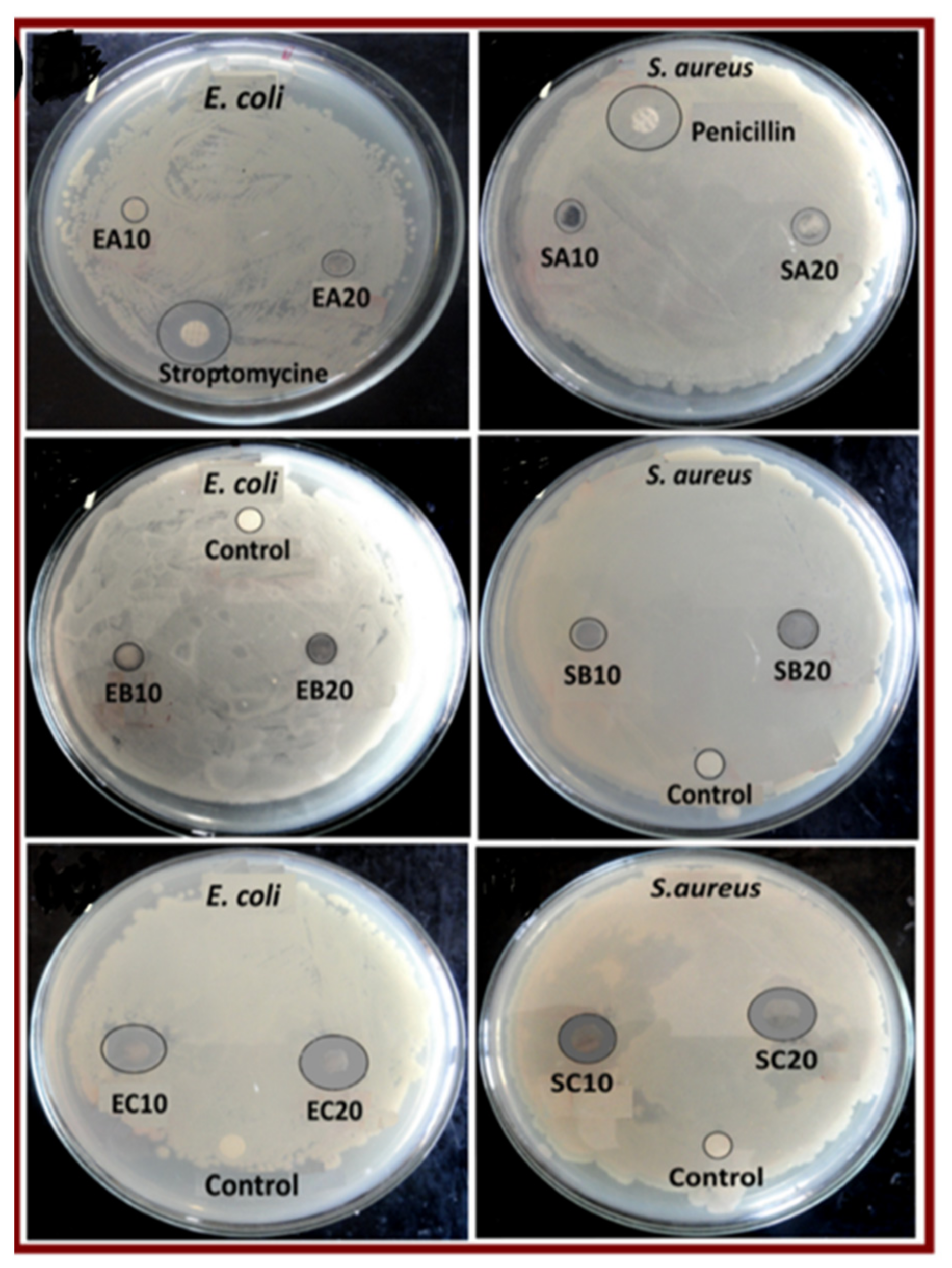 Macromol 02 00005 g005