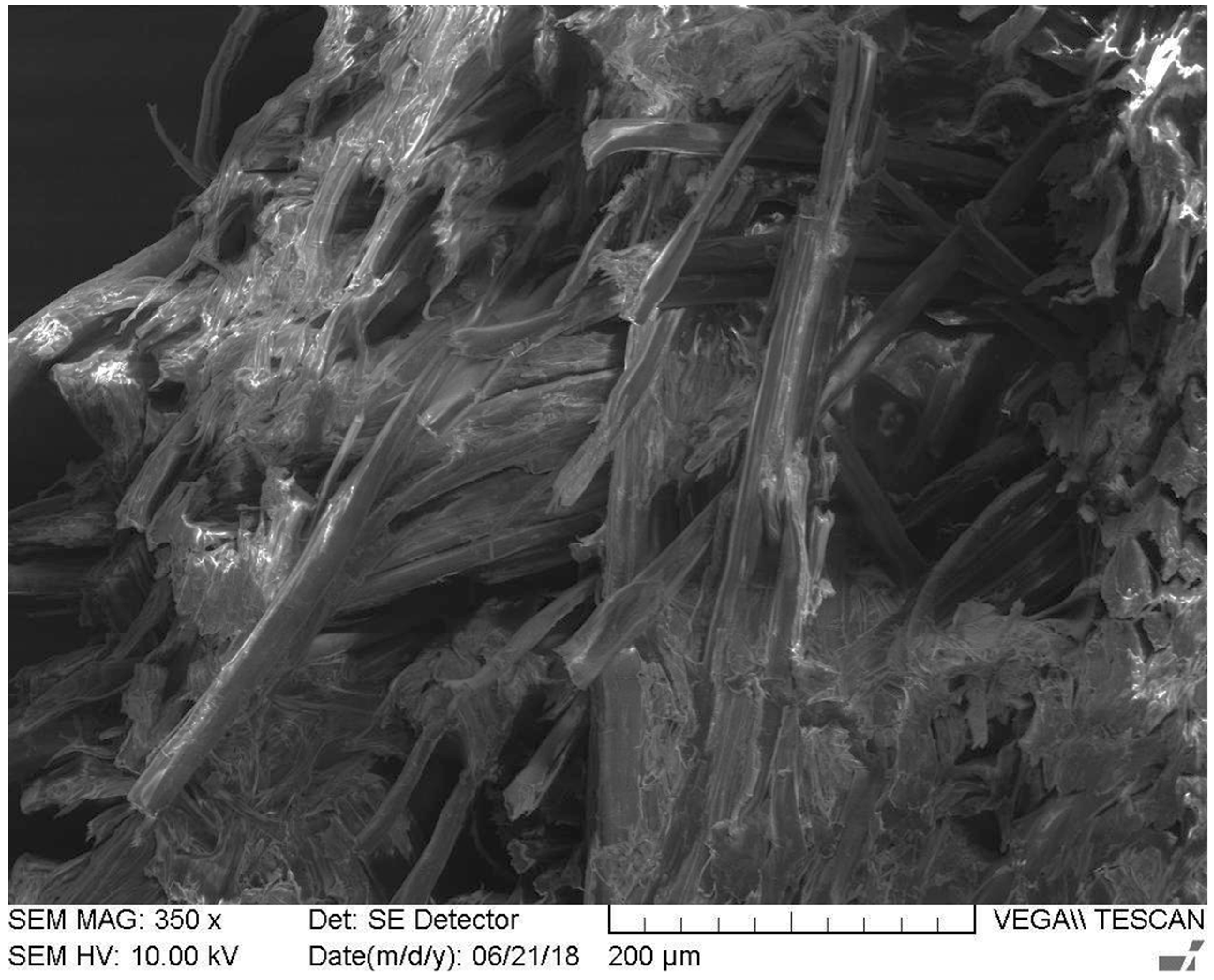 Macromol 02 00017 g011