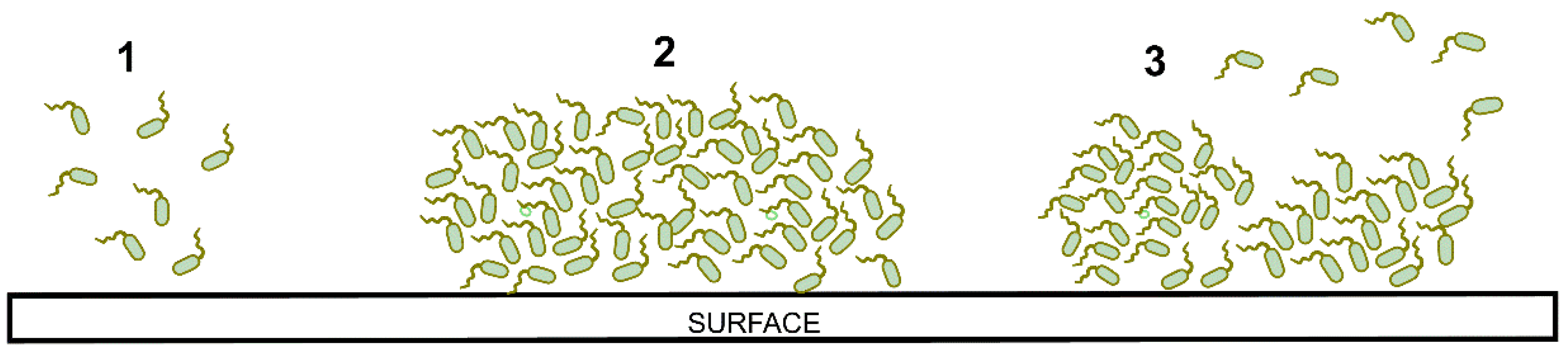 Macromol 02 00018 g001