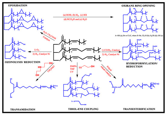 Macromol 02 00019 g003 550