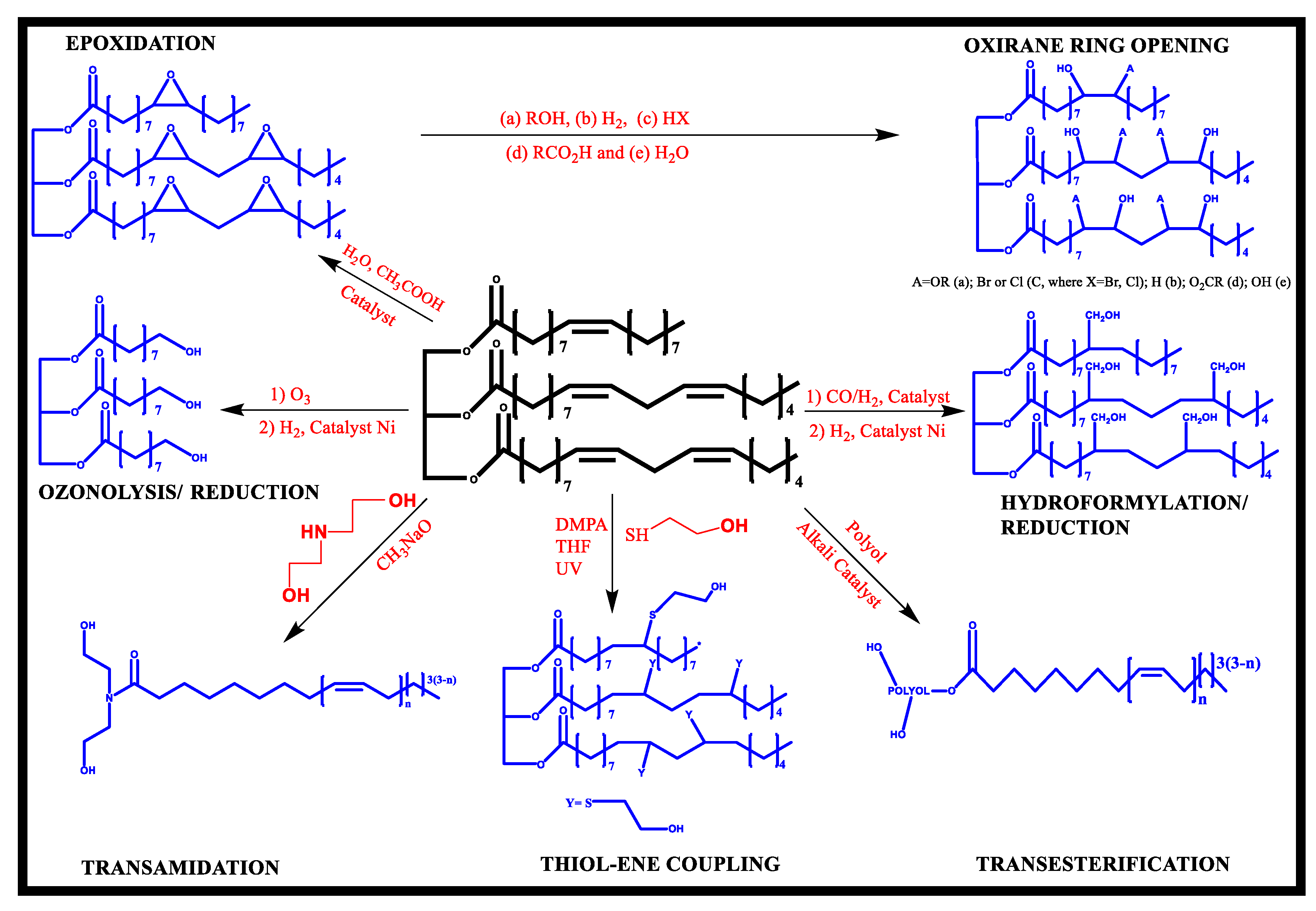 Macromol 02 00019 g003