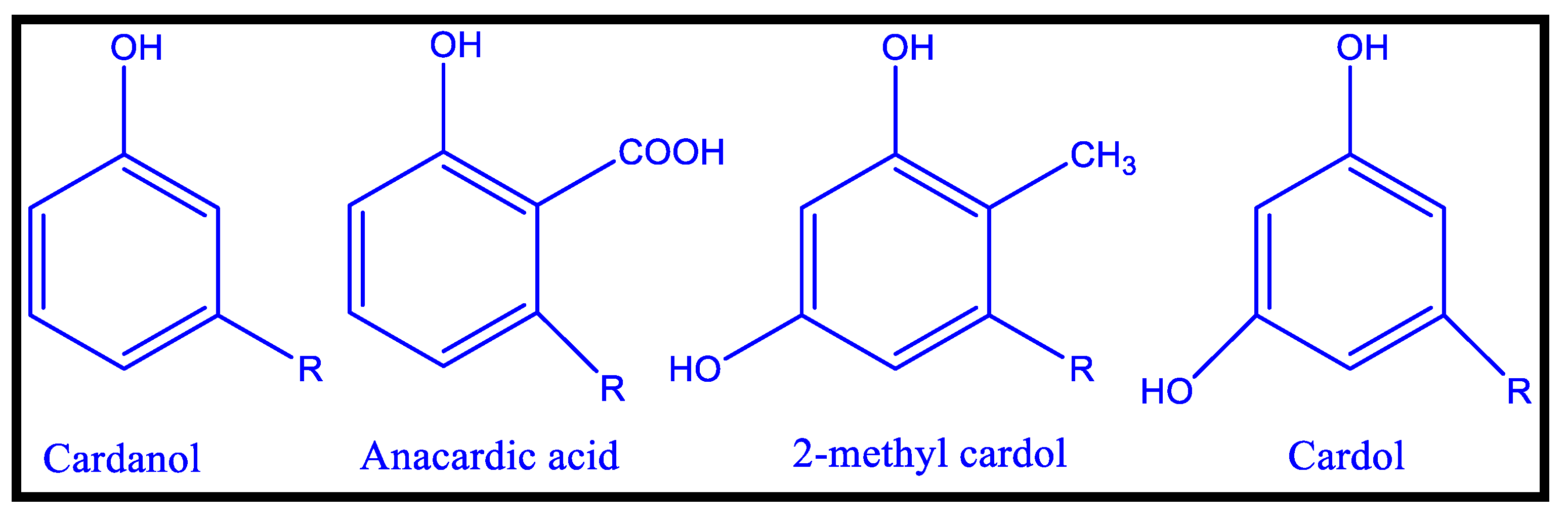 Macromol 02 00019 g006
