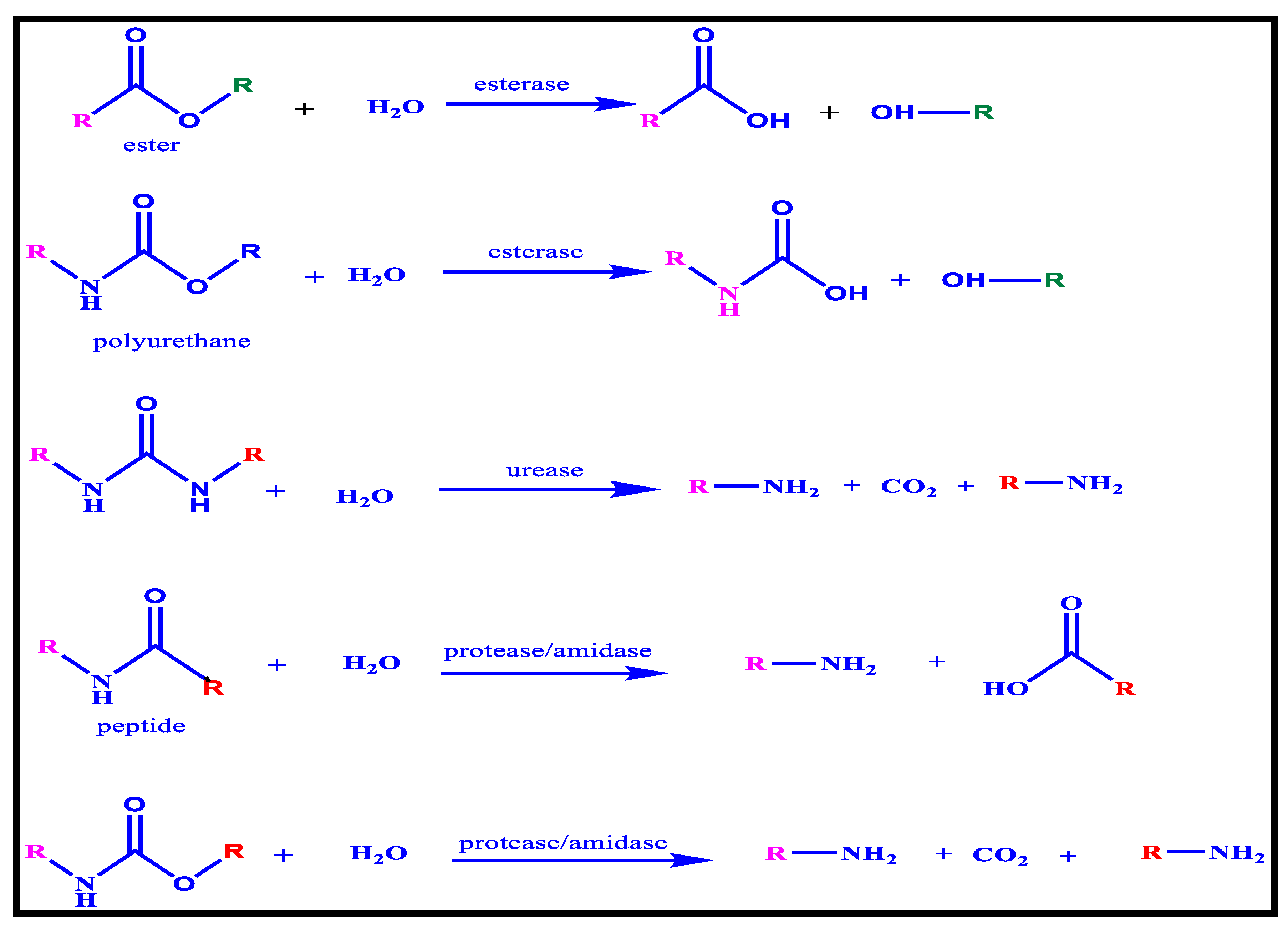Macromol 02 00019 g017