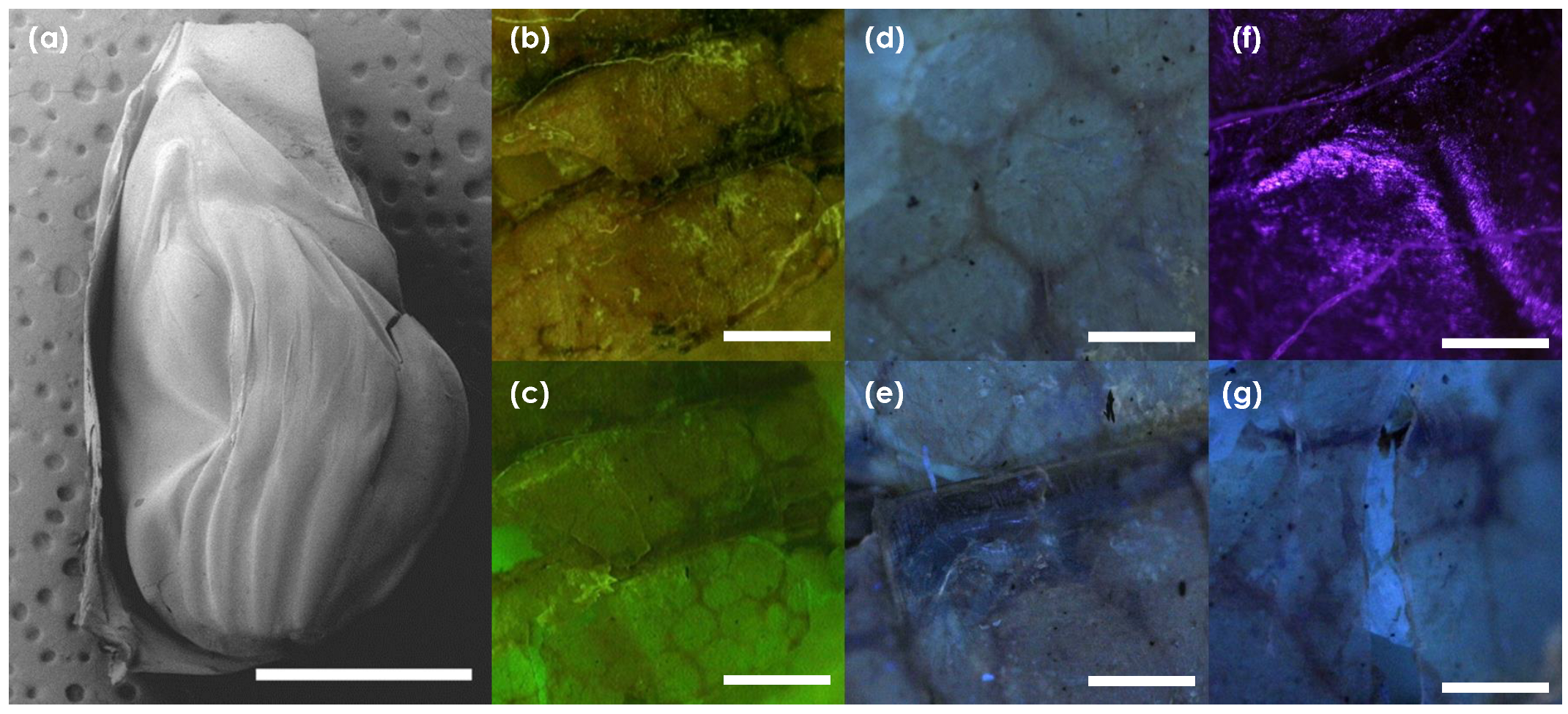 Macromol 02 00020 g002