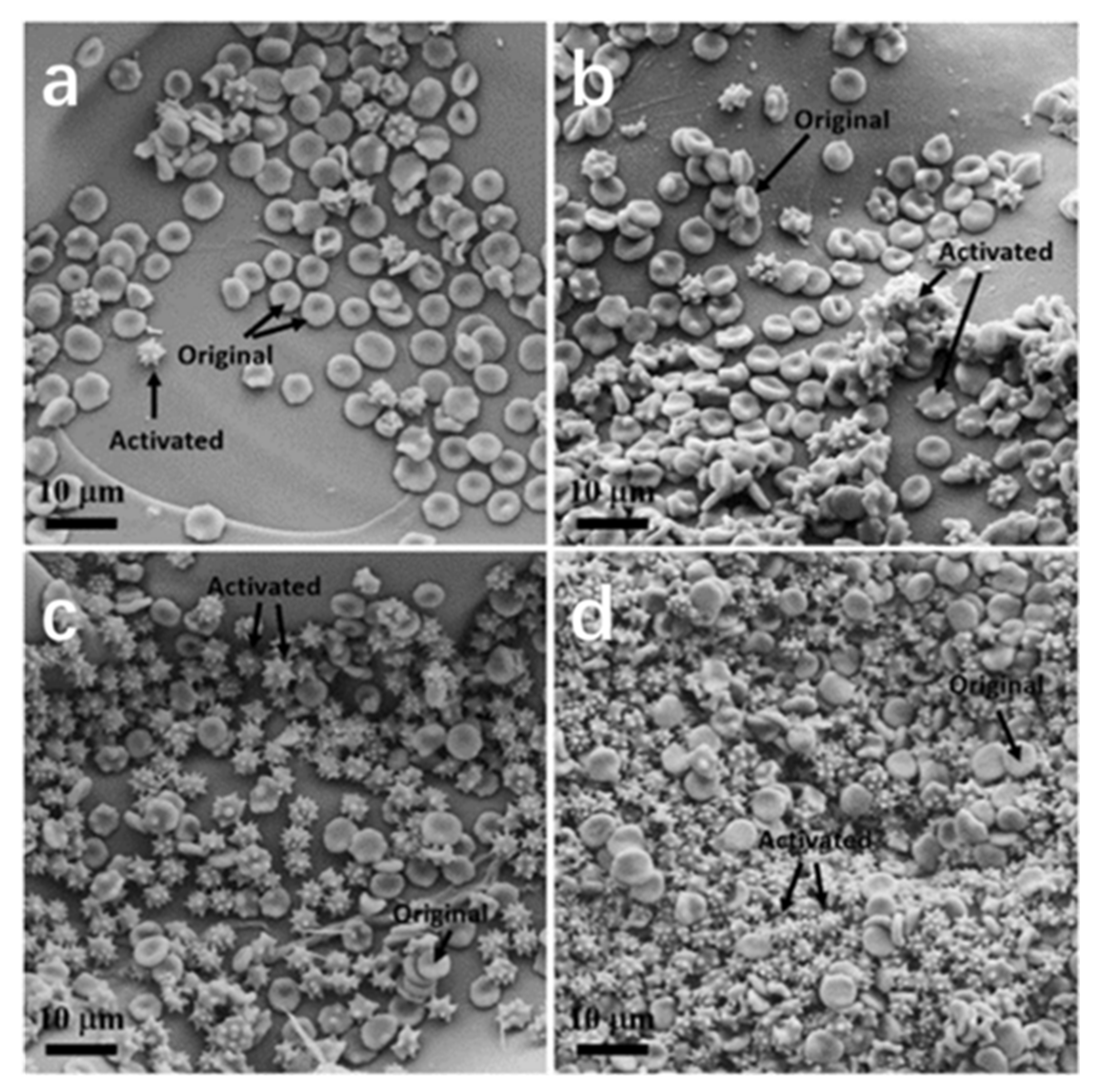 Macromol 02 00022 g002 550