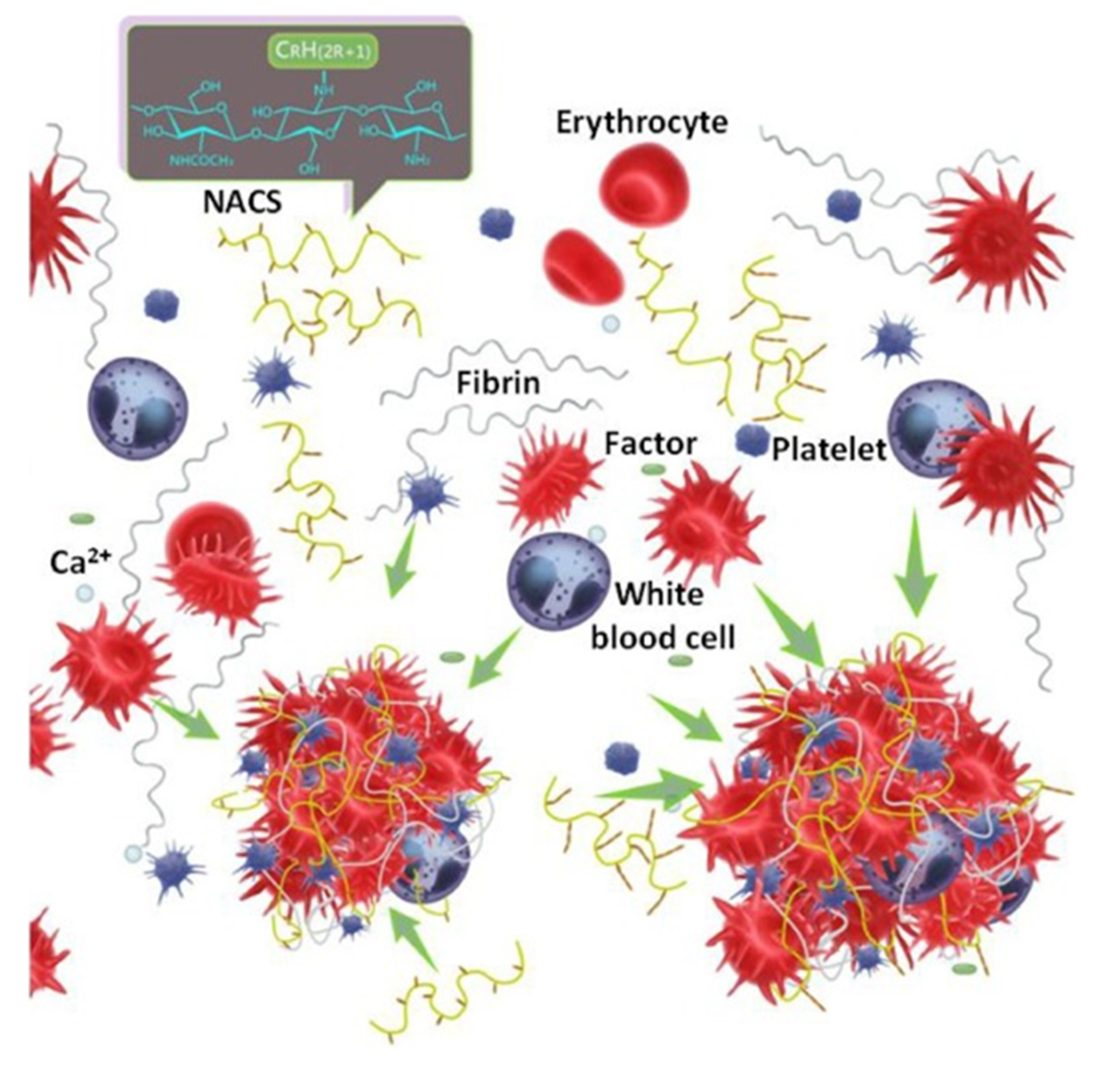 Macromol 02 00022 g003 550