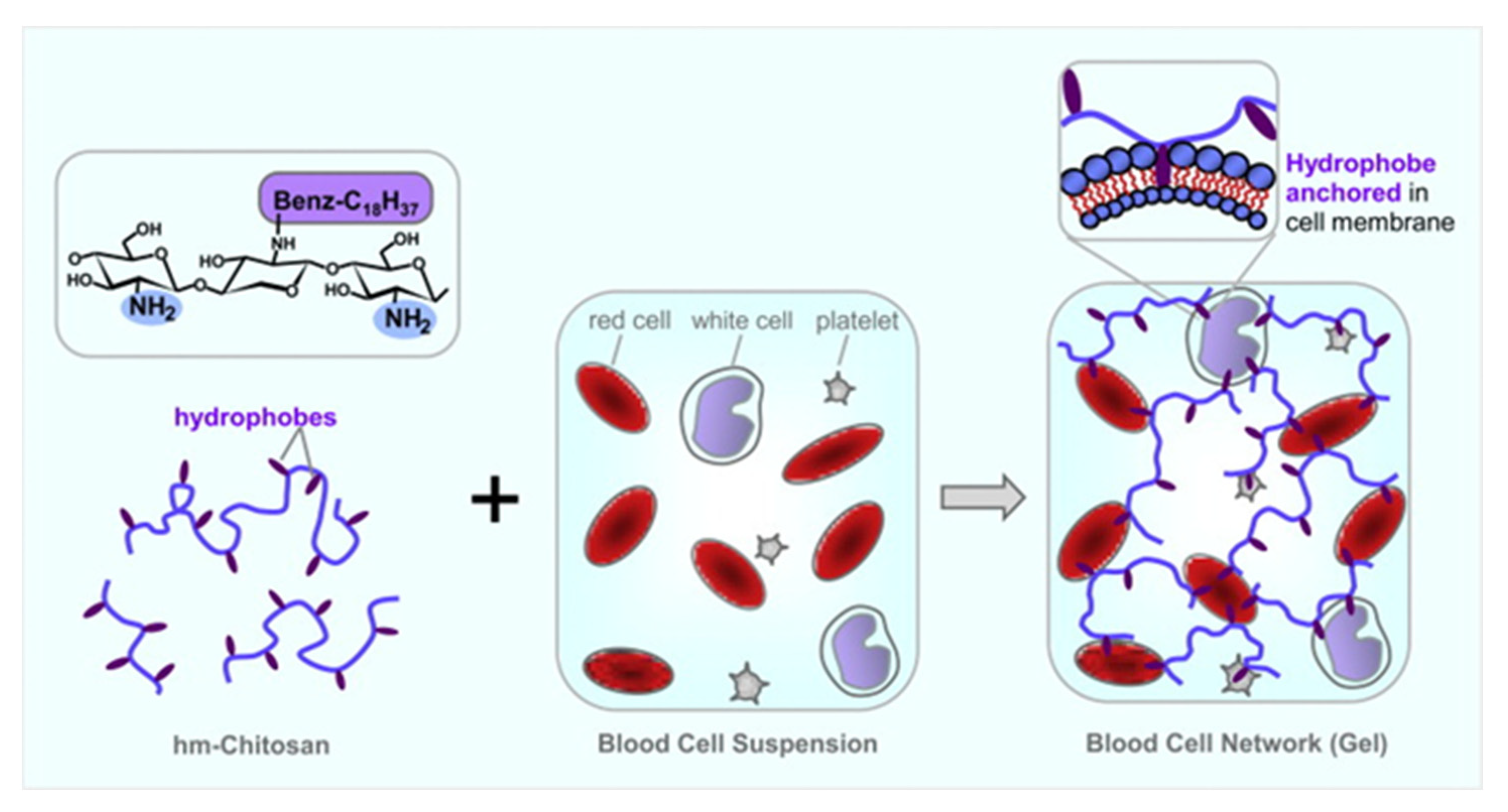Macromol 02 00022 g004 550