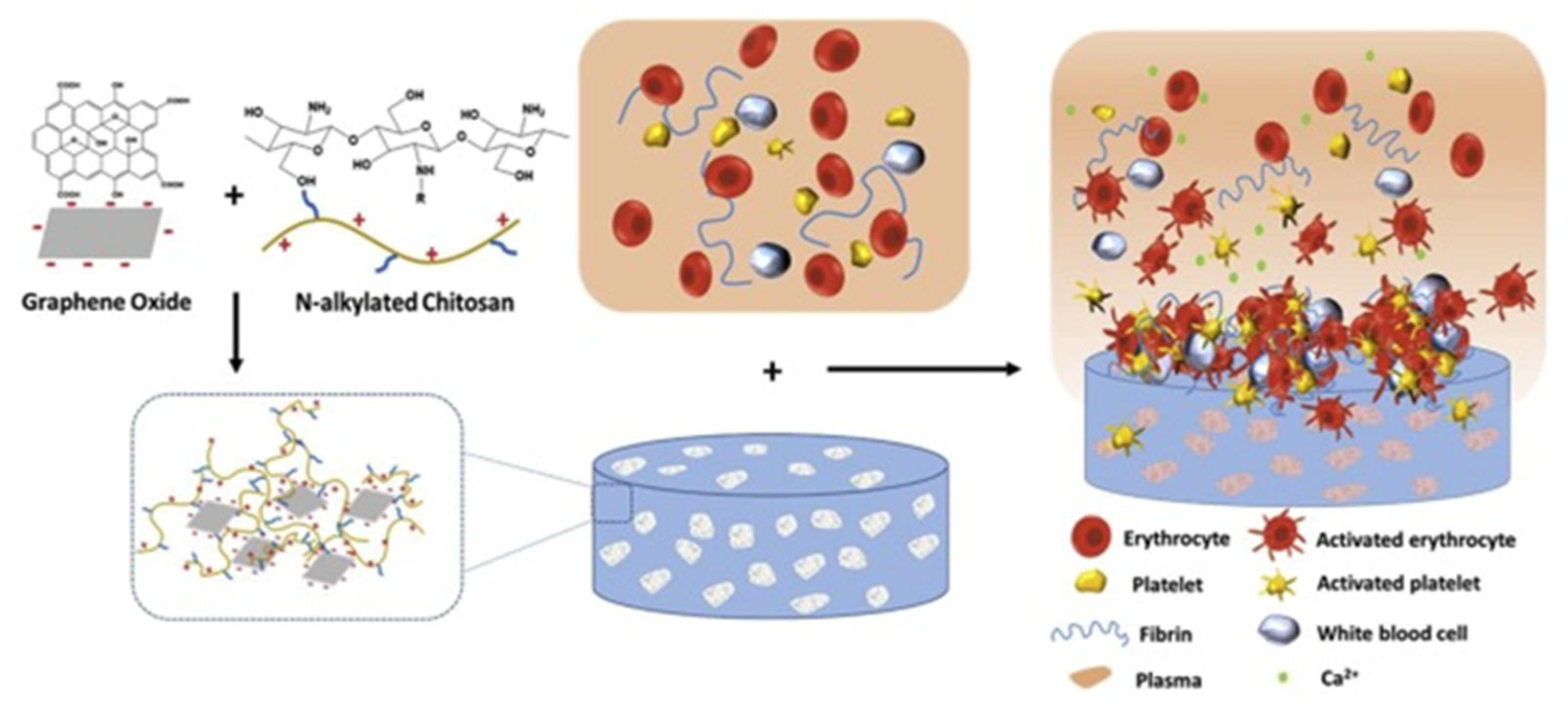 Macromol 02 00022 g006 550