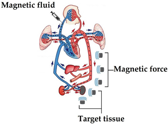 Tom McMahon: Ferro Fluid Magnetic Liquid