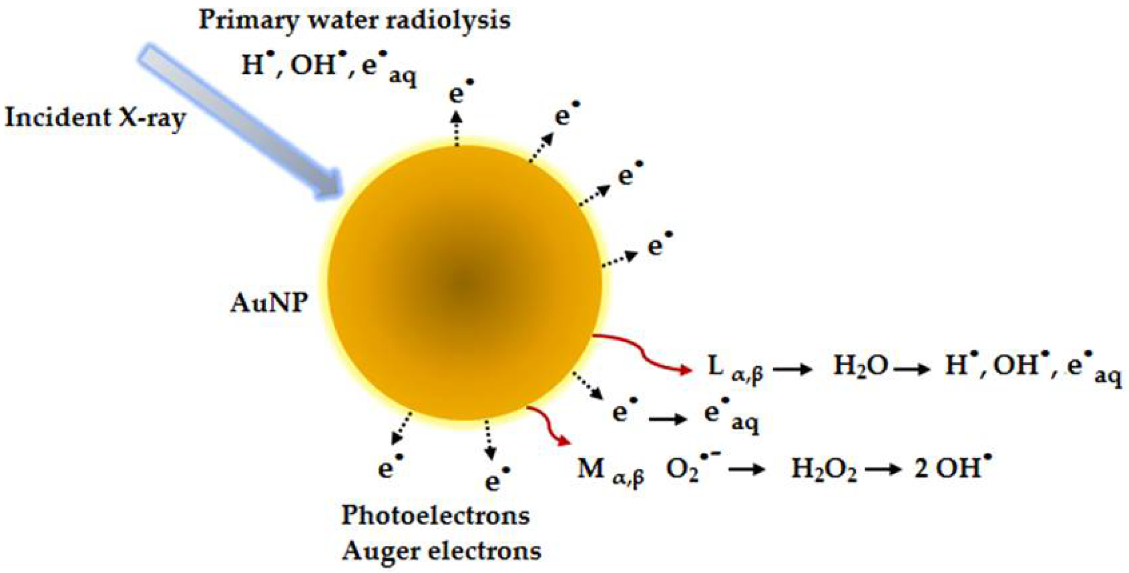 Macromol 02 00024 g008