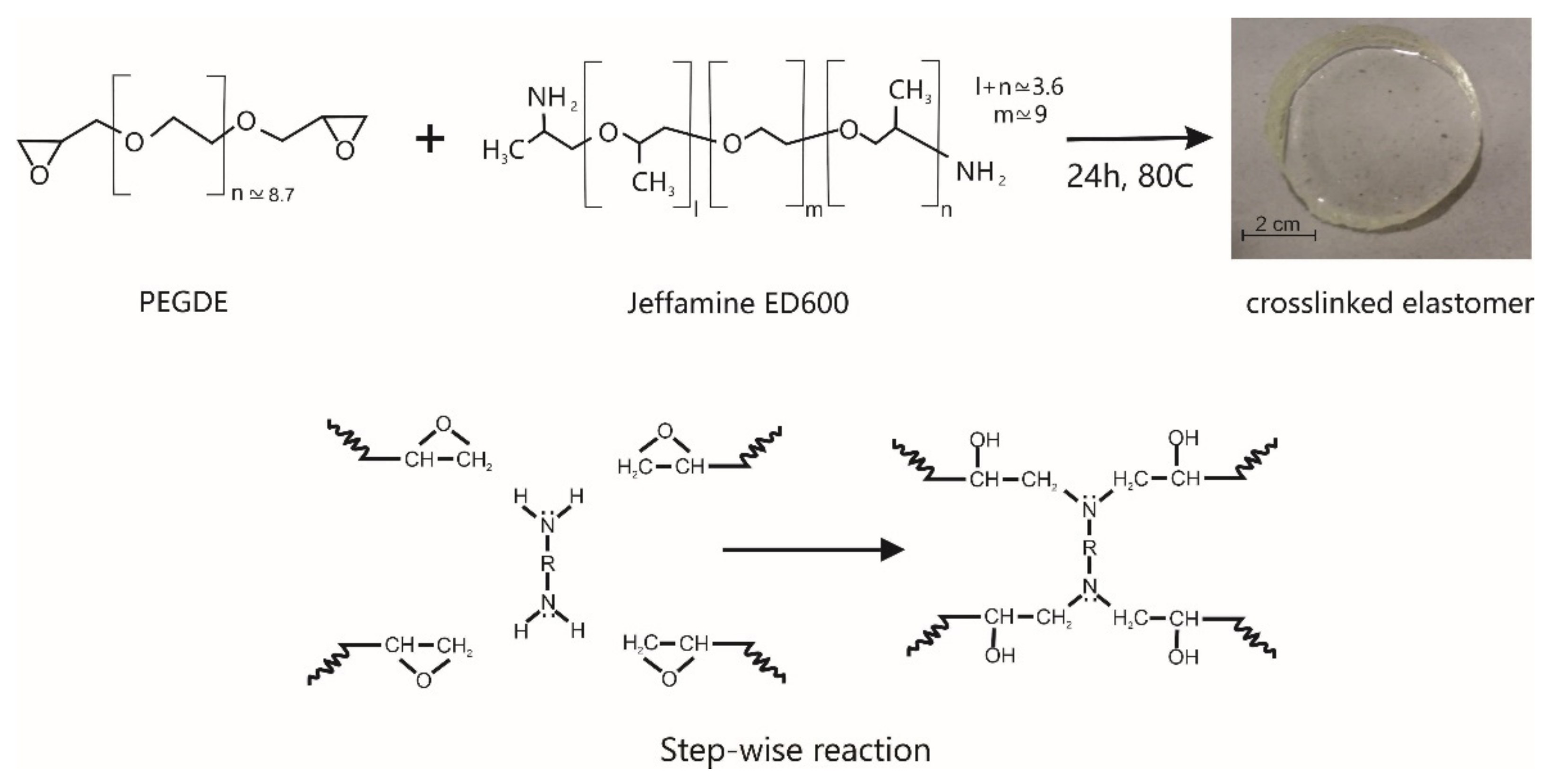 Macromol 02 00027 g001