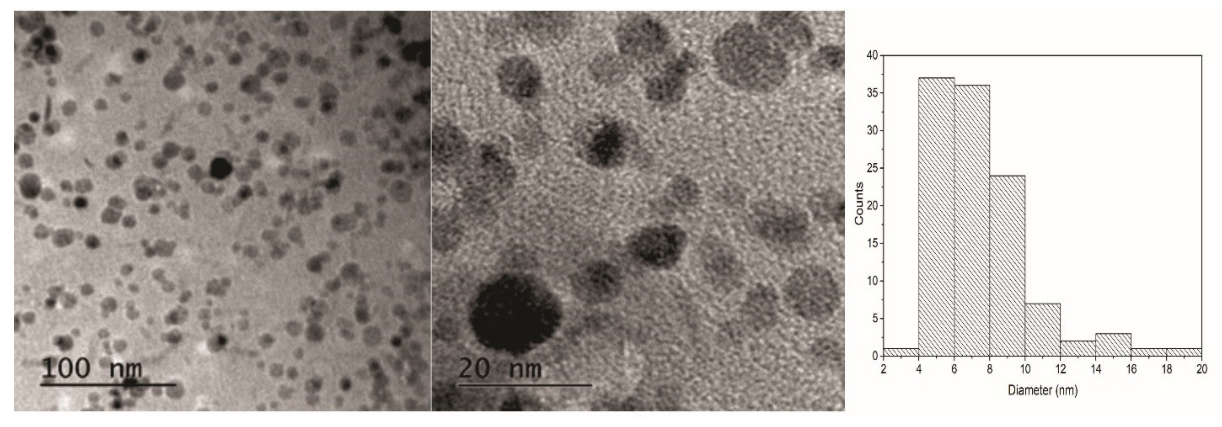 Macromol 02 00027 g006