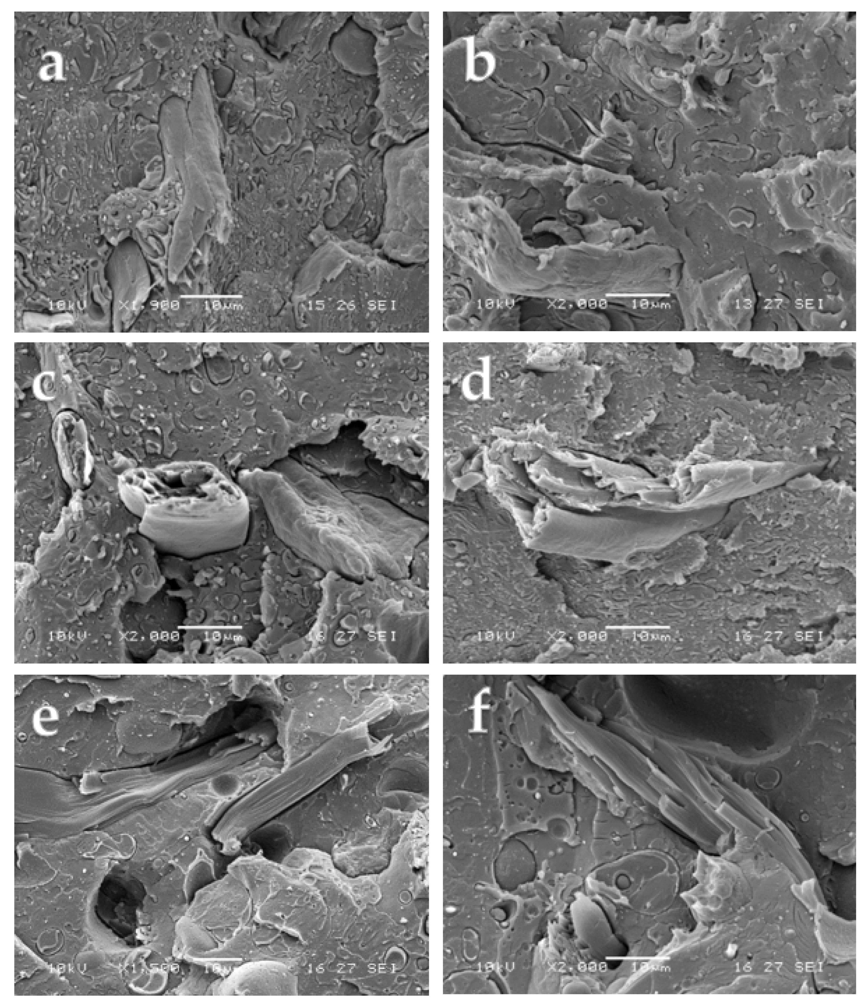 Macromol 02 00032 g002