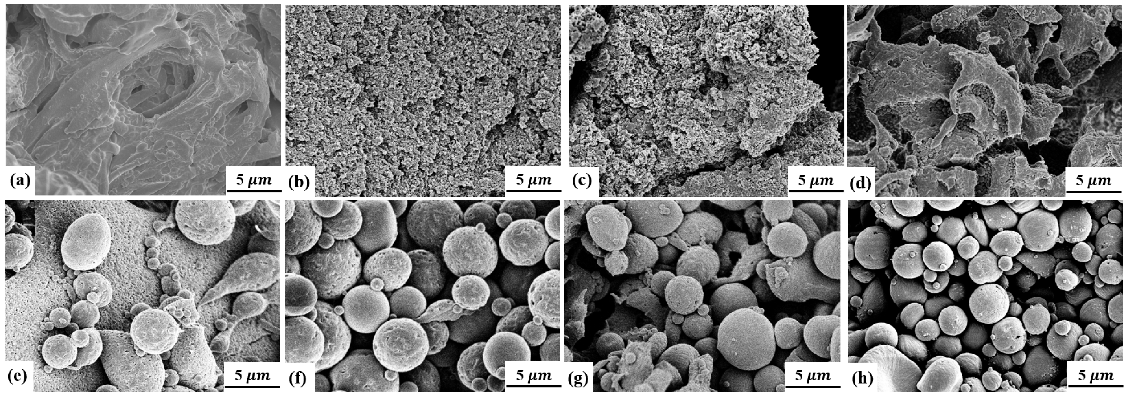 Macromol 03 00005 g002 550