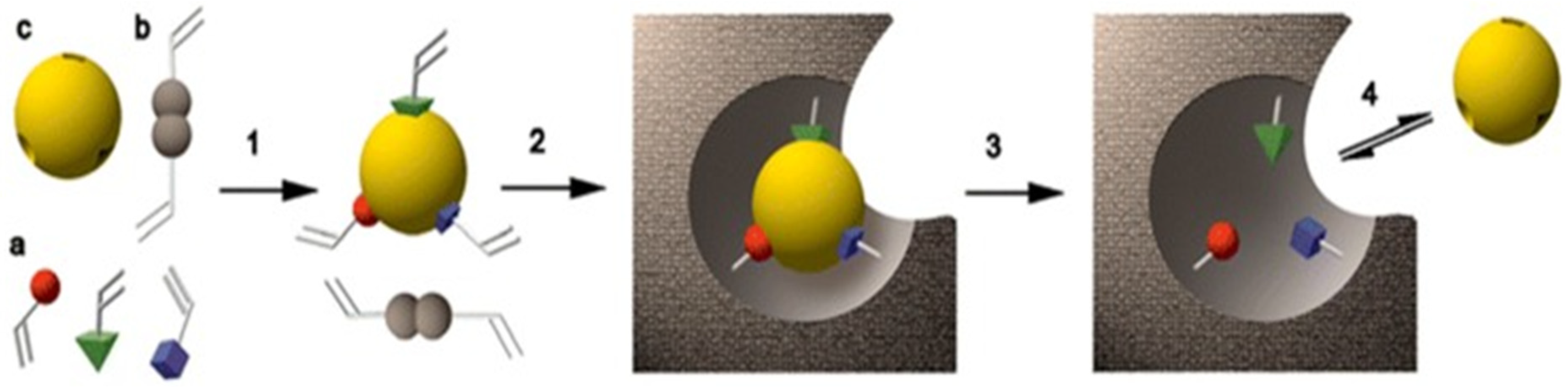 Macromol 03 00008 g001 Macromol 03 00008 g001