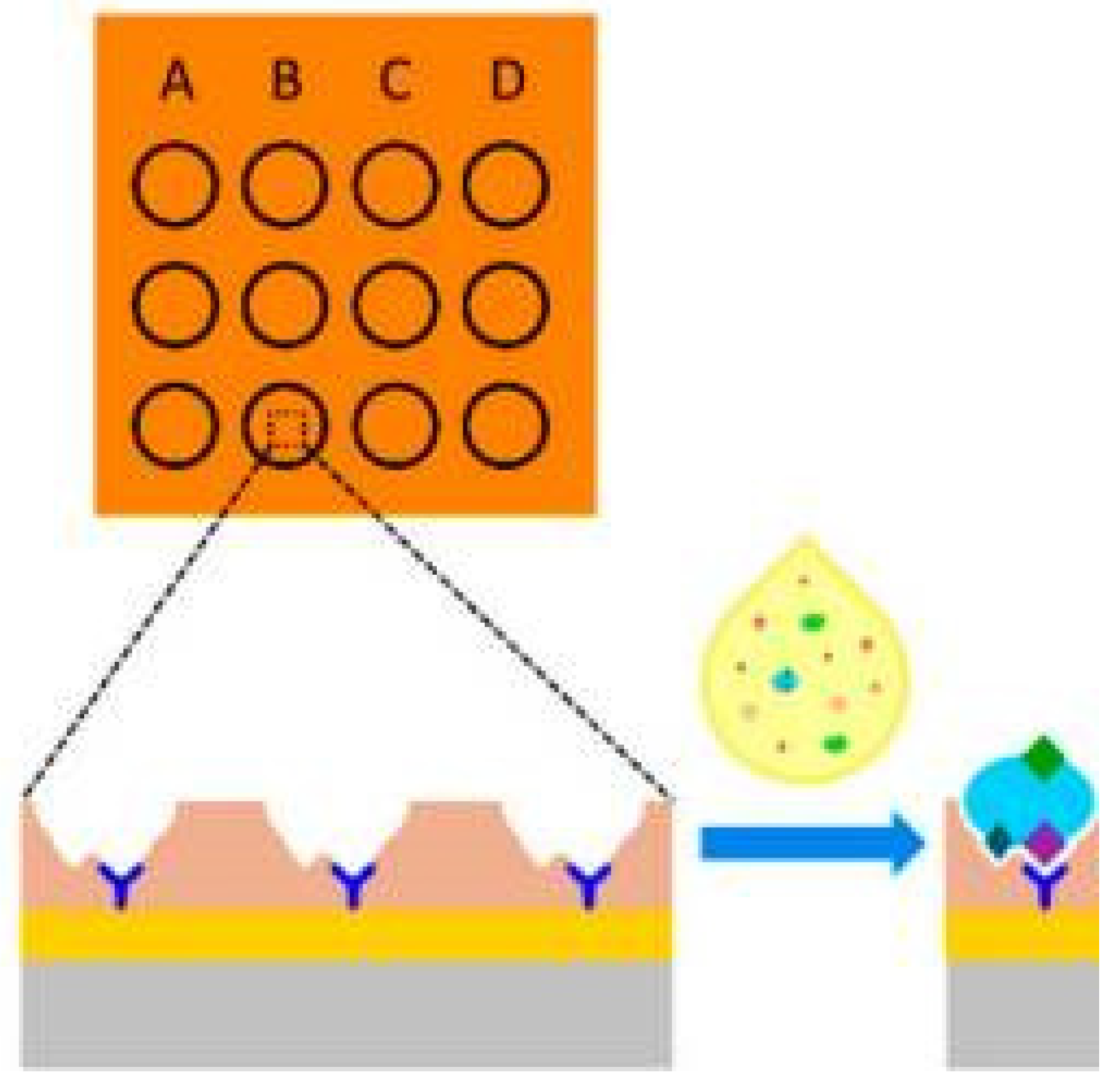 Macromol 03 00008 g004 Macromol 03 00008 g004