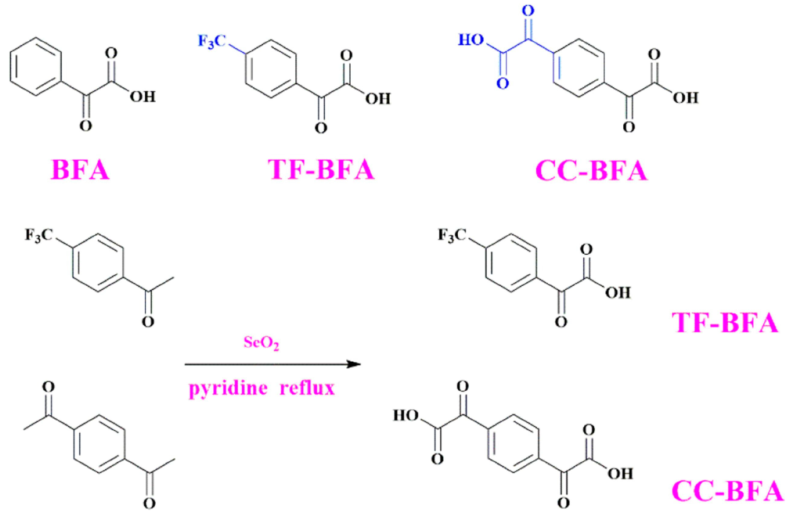 Macromol 03 00010 g016 Macromol 03 00010 g016