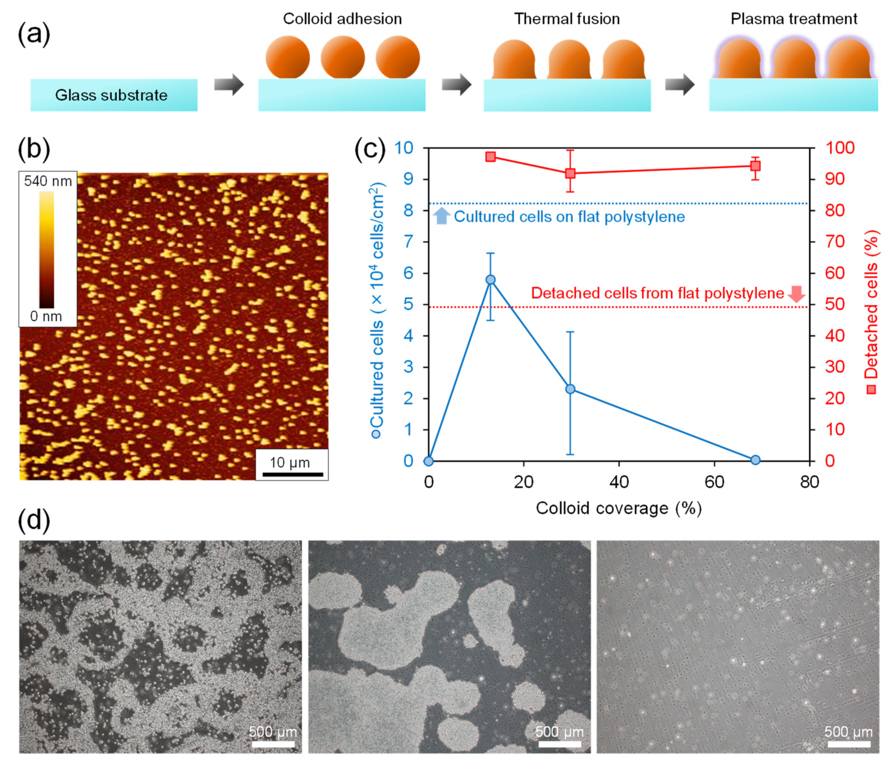 Macromol 03 00014 g001 Macromol 03 00014 g001