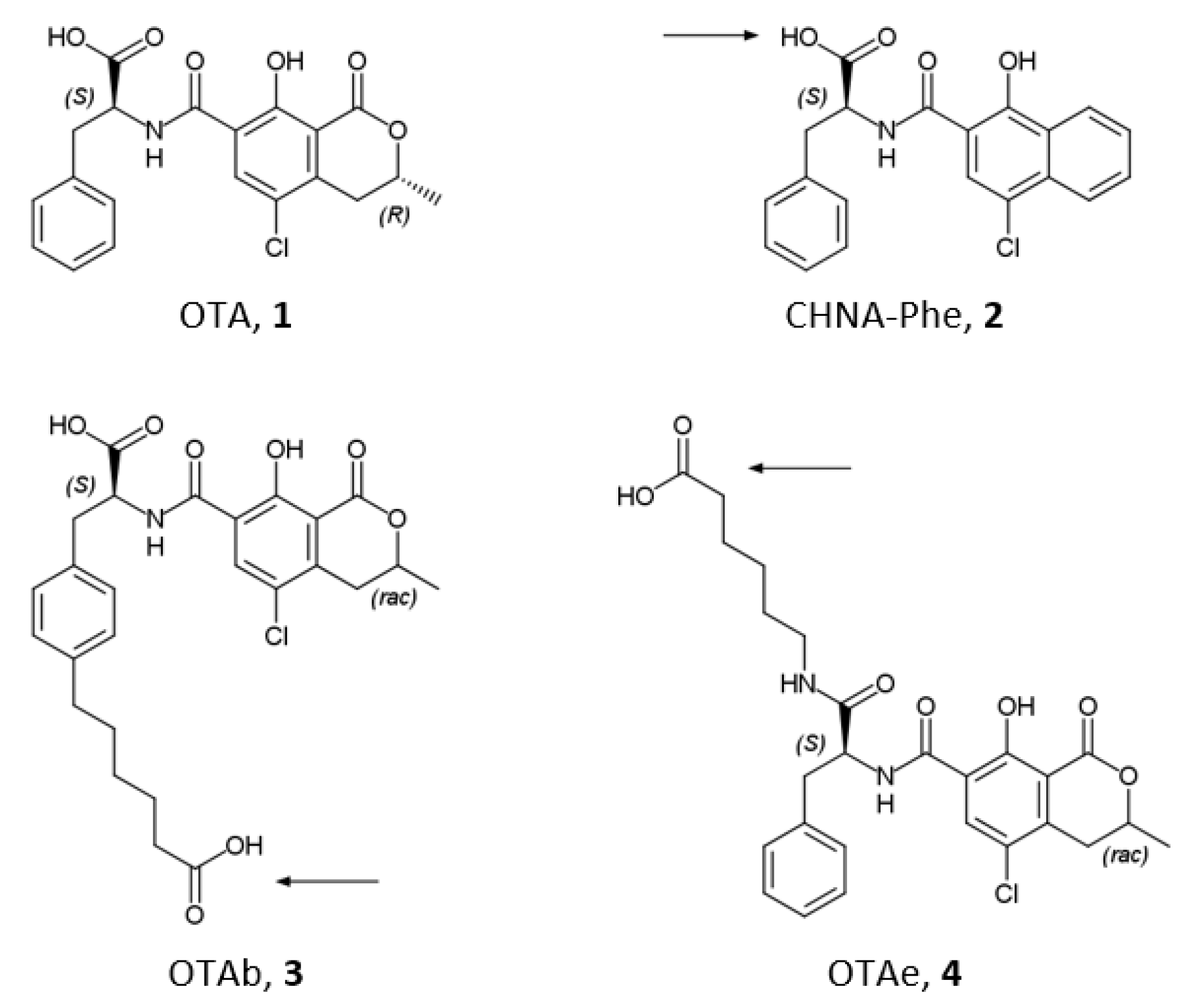 Macromol 03 00015 sch002