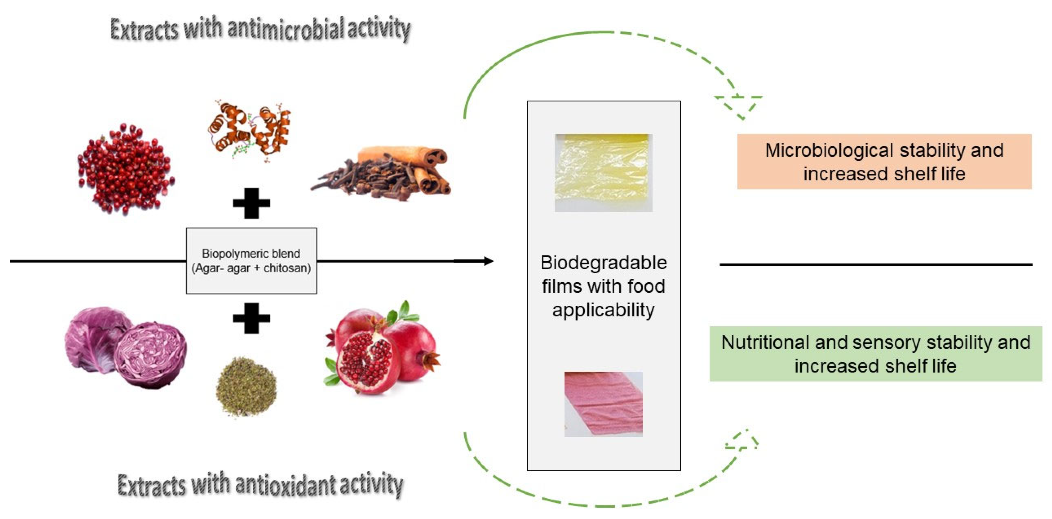 Macromol 03 00017 g003 Macromol 03 00017 g003